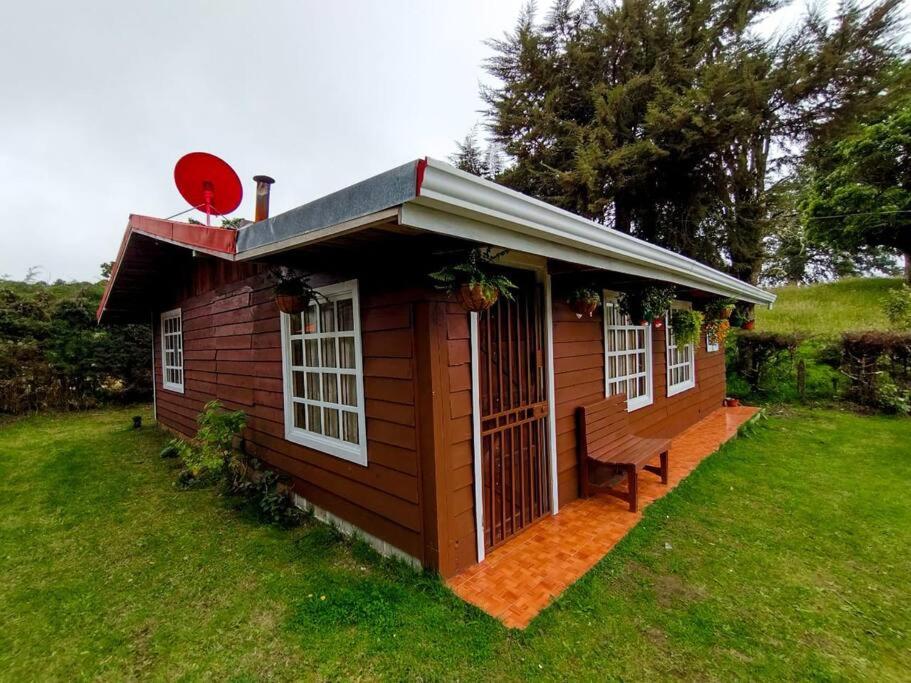 Cabaña Emperador – The place for QUETZALS lovers! view 2
