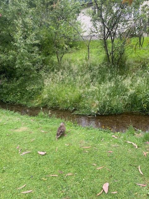 Photo 30