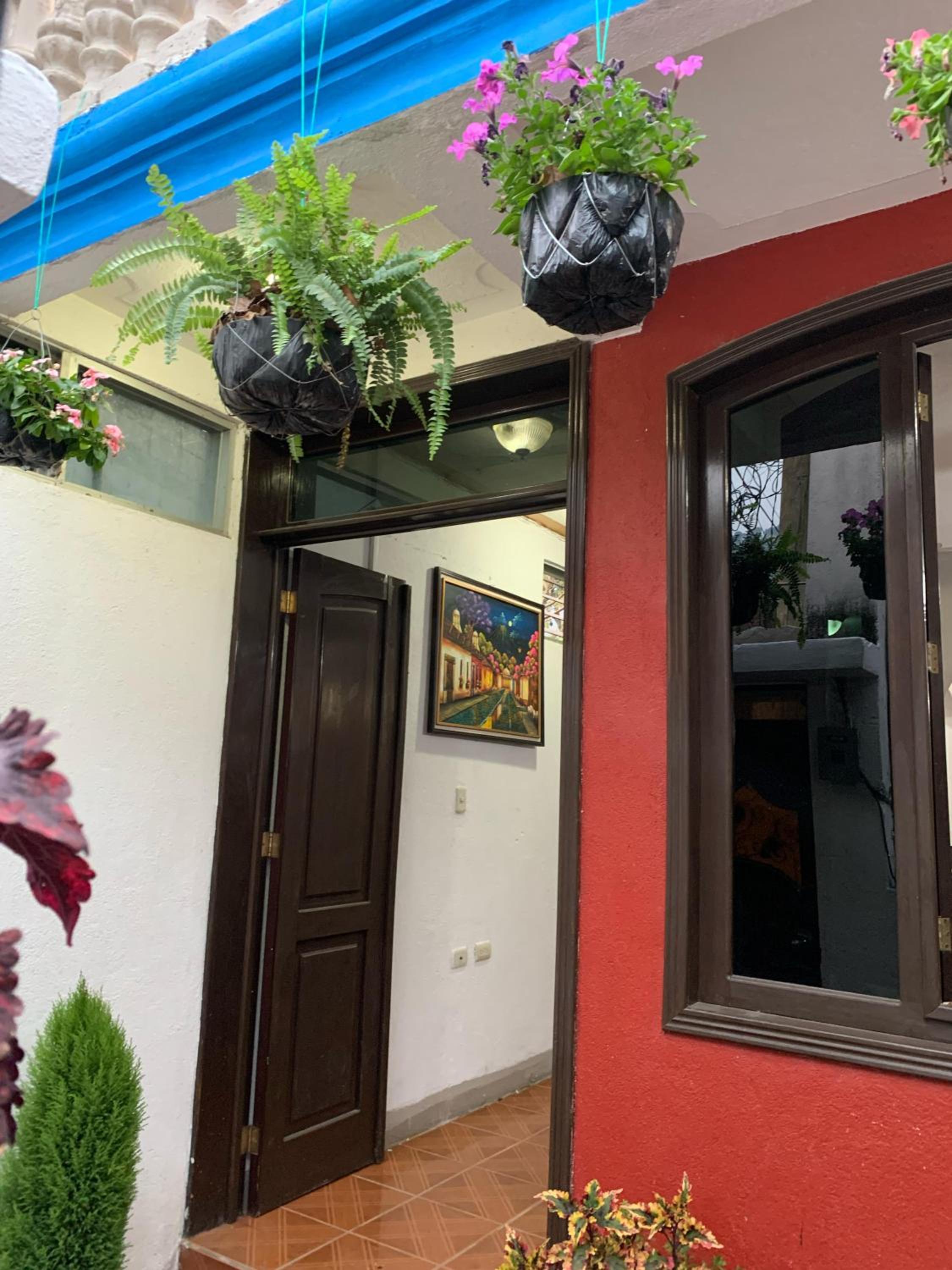 Casa genesis