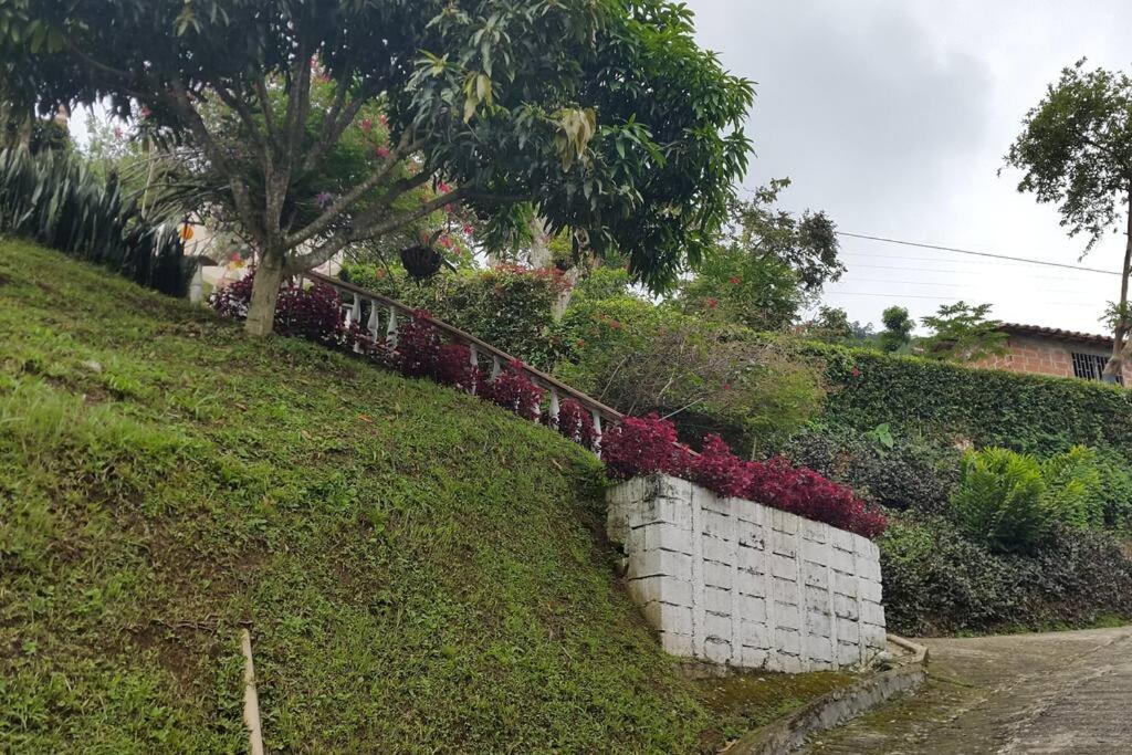 Cabaña acogedora en el Suroeste Antioqueño