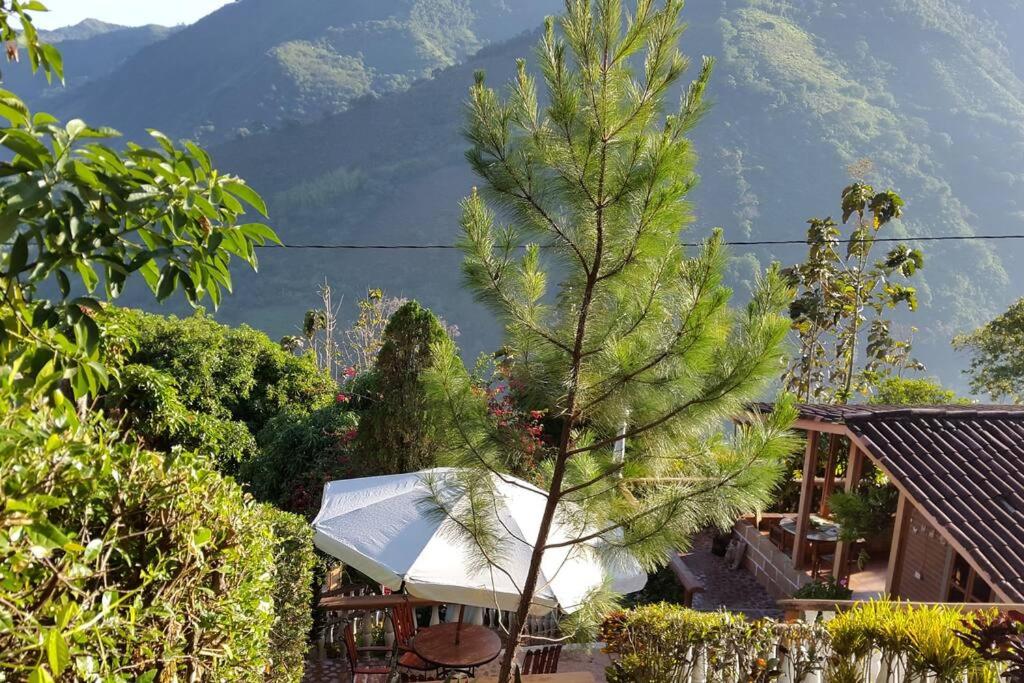 Cabaña acogedora en el Suroeste Antioqueño