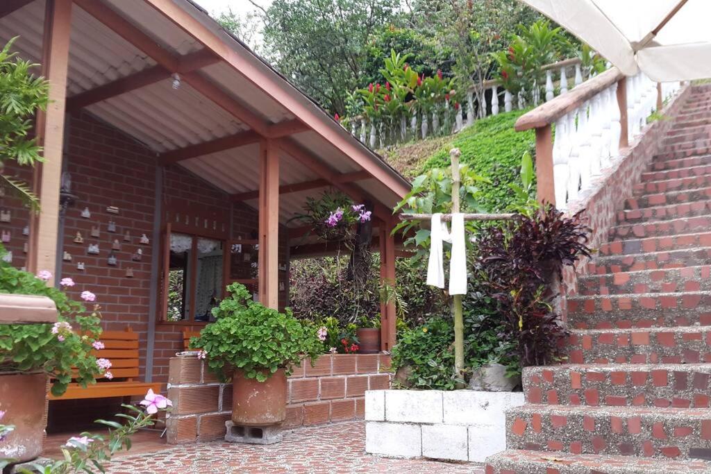 Cabaña acogedora en el Suroeste Antioqueño