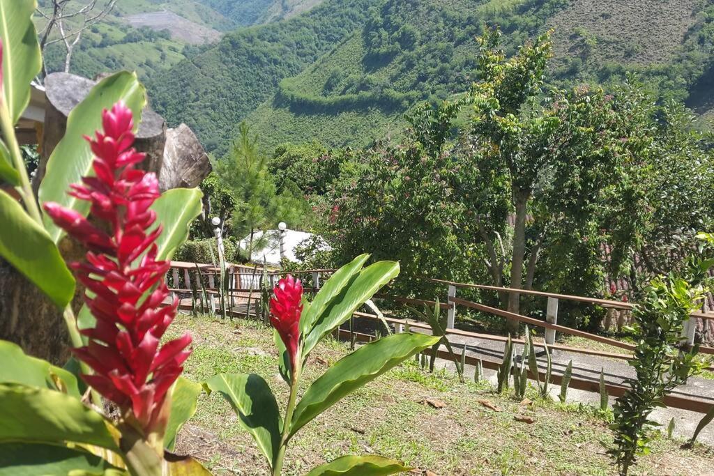 Cabaña acogedora en el Suroeste Antioqueño
