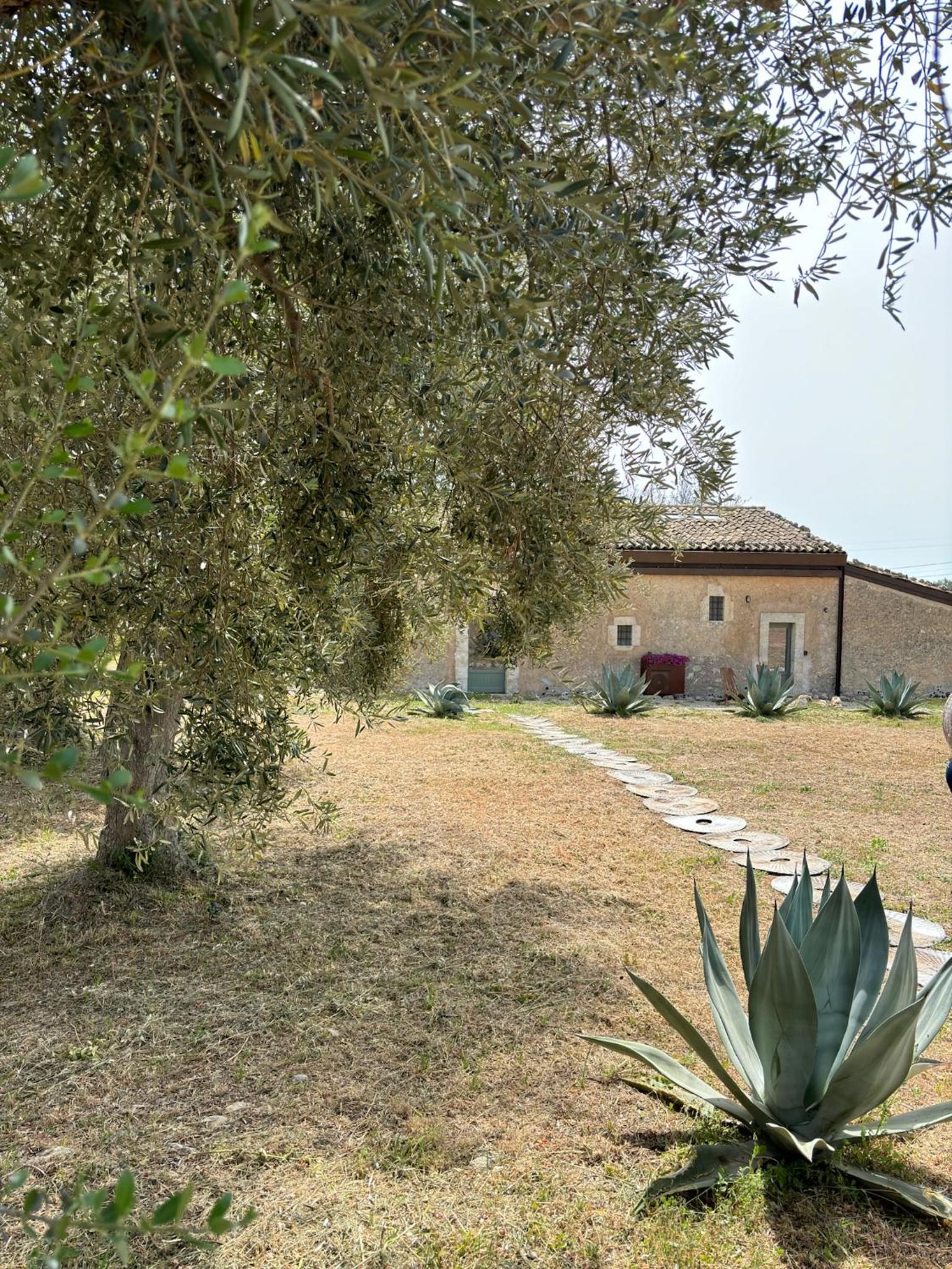 Photo 35