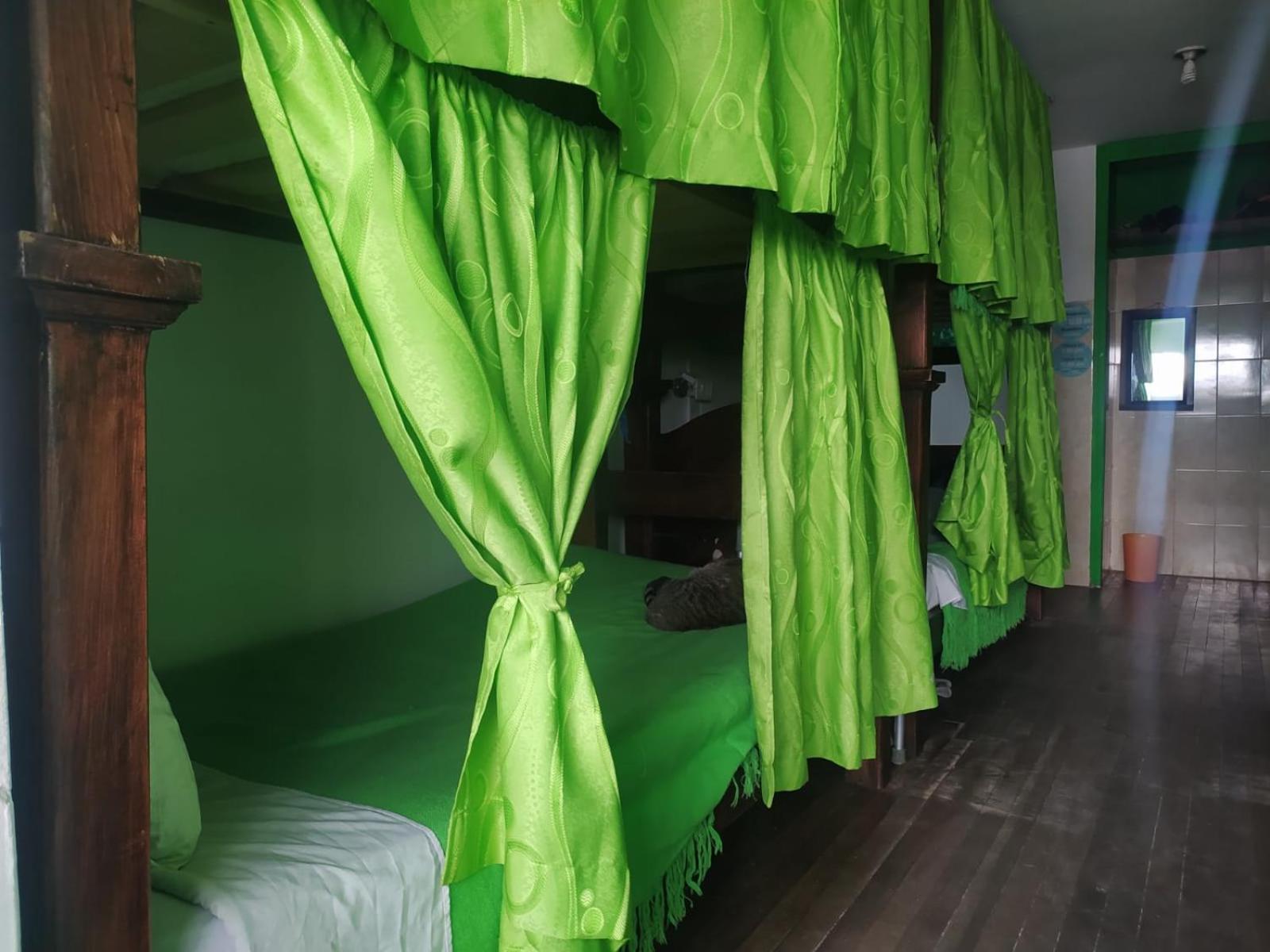 82Hostel