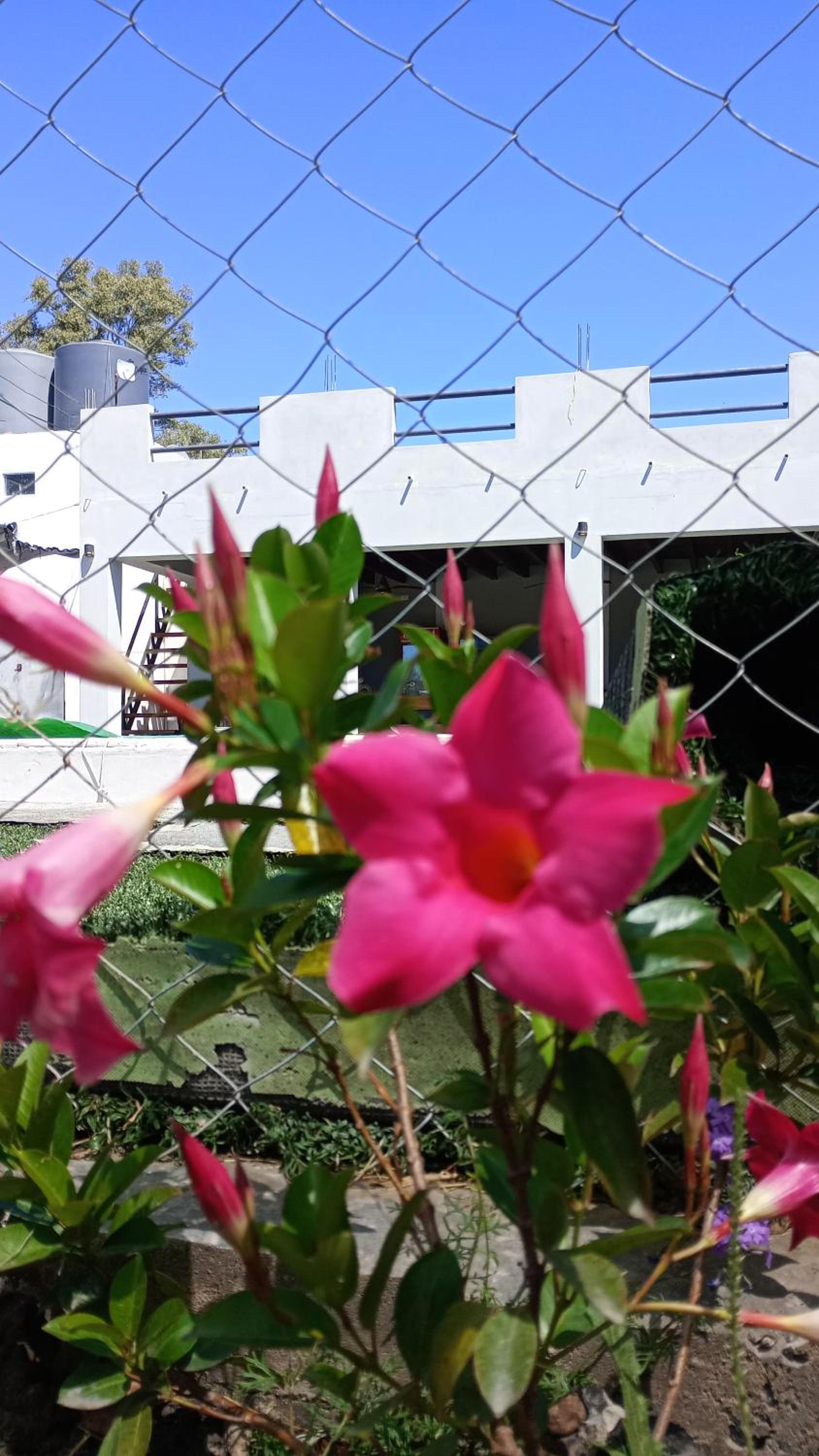 COMPLEJO MAINUMBI DUPLEX 5