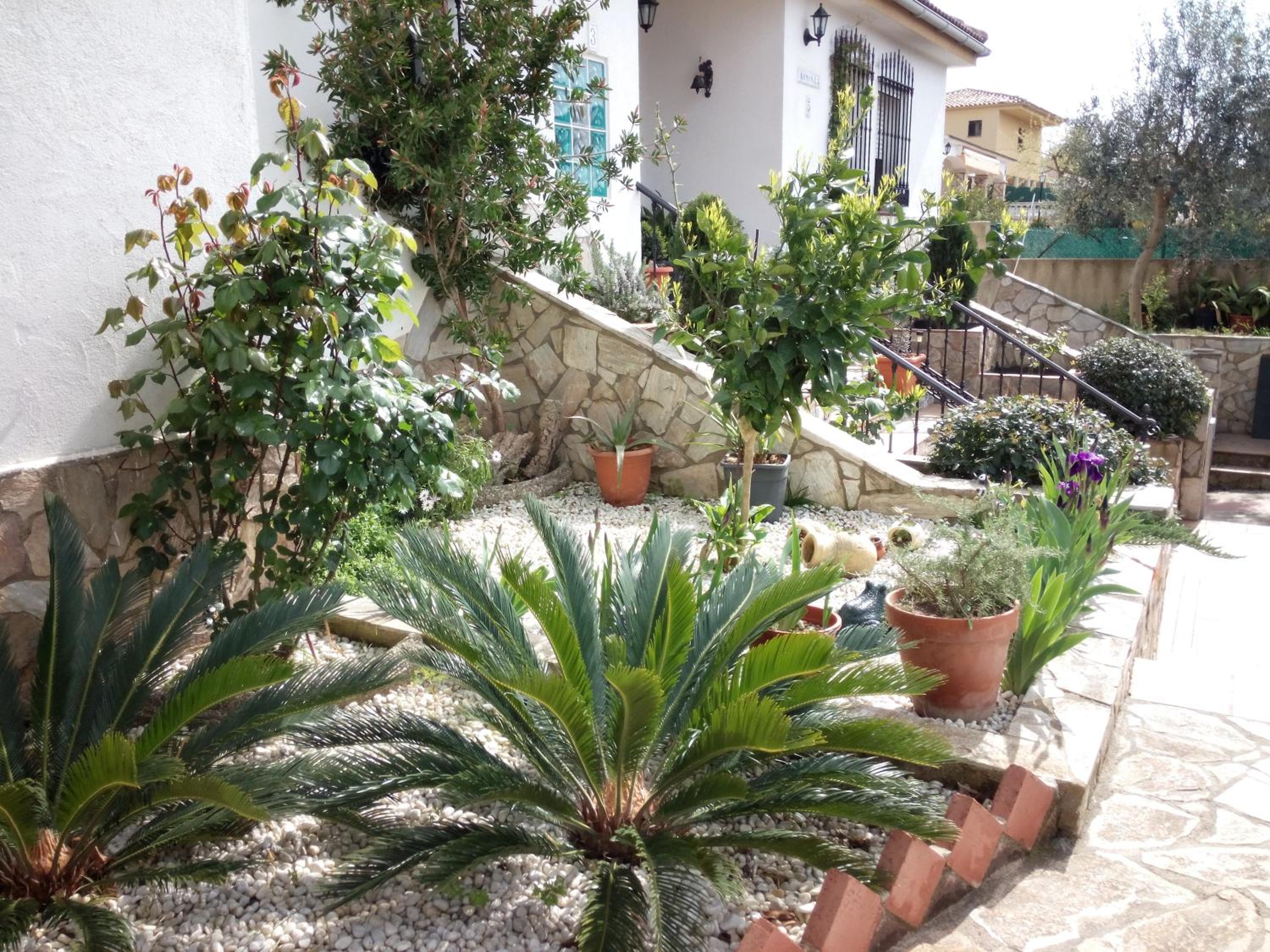 Armonía view 5
