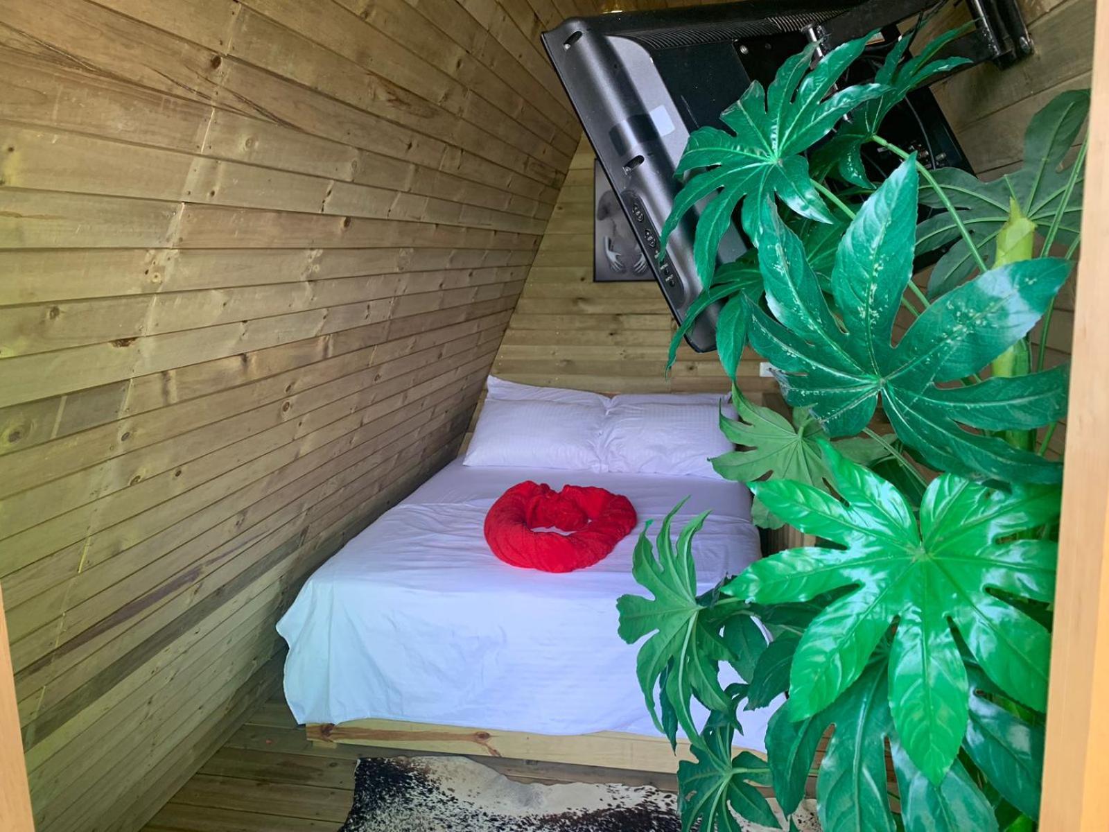Chalet El Pinal - Copacabana