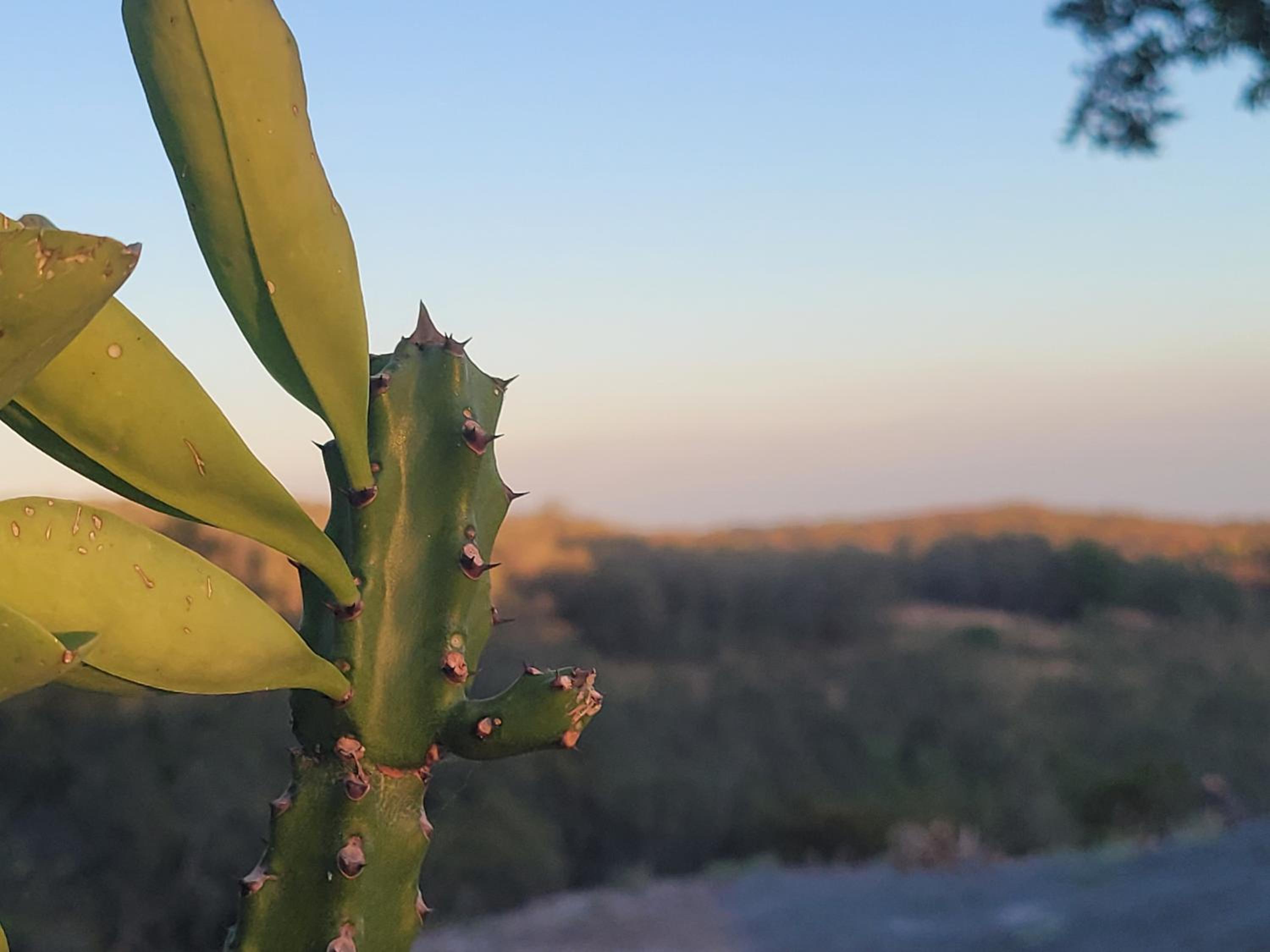 Hacienda en Los Volcanes
