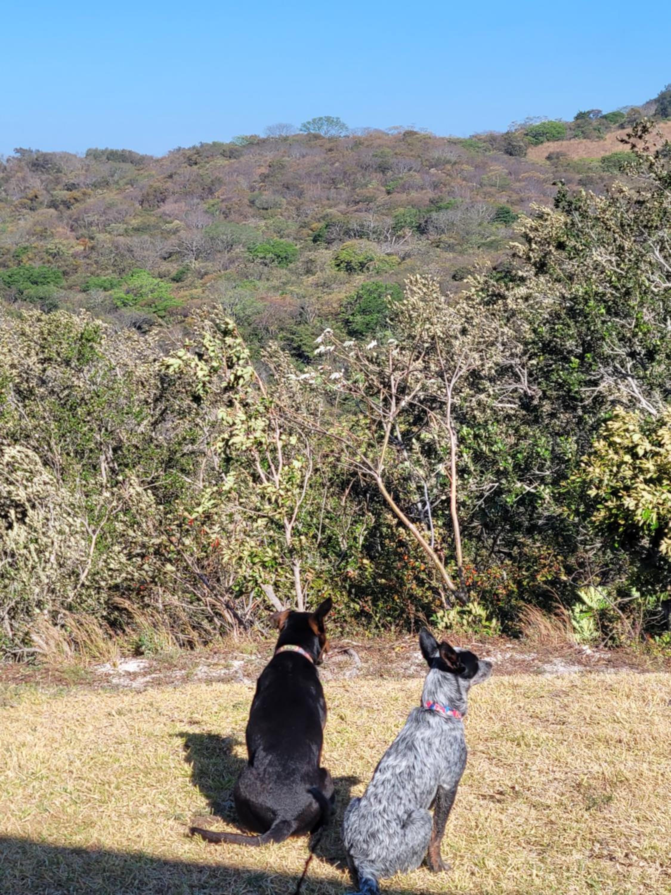 Hacienda en Los Volcanes