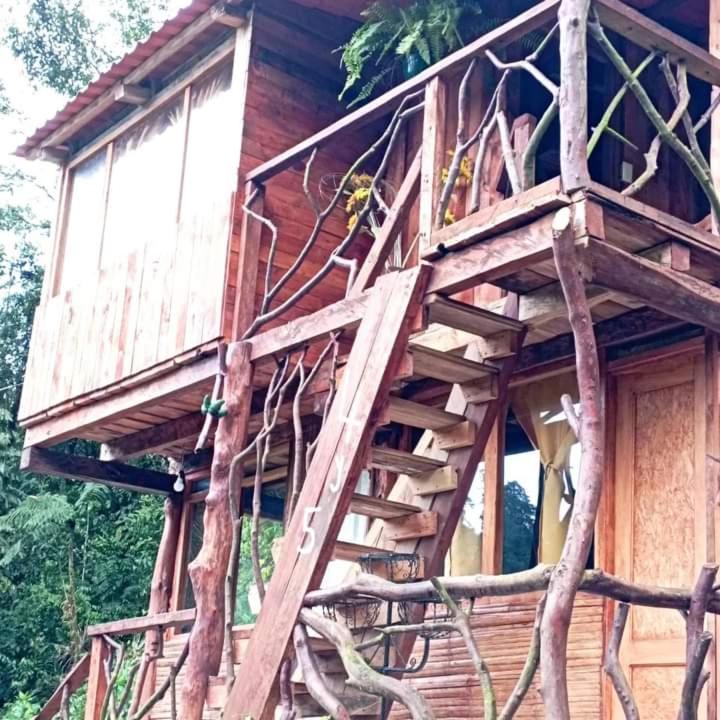 Hospedaje Cabañas Roca Mía