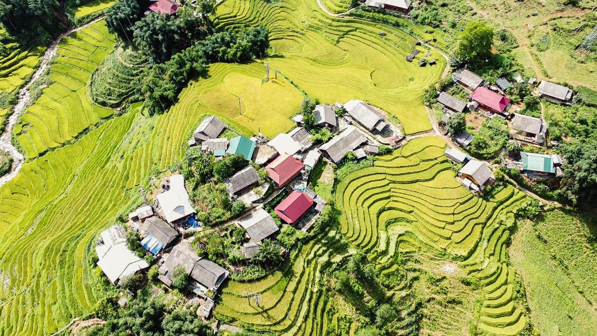Mercury Homestay