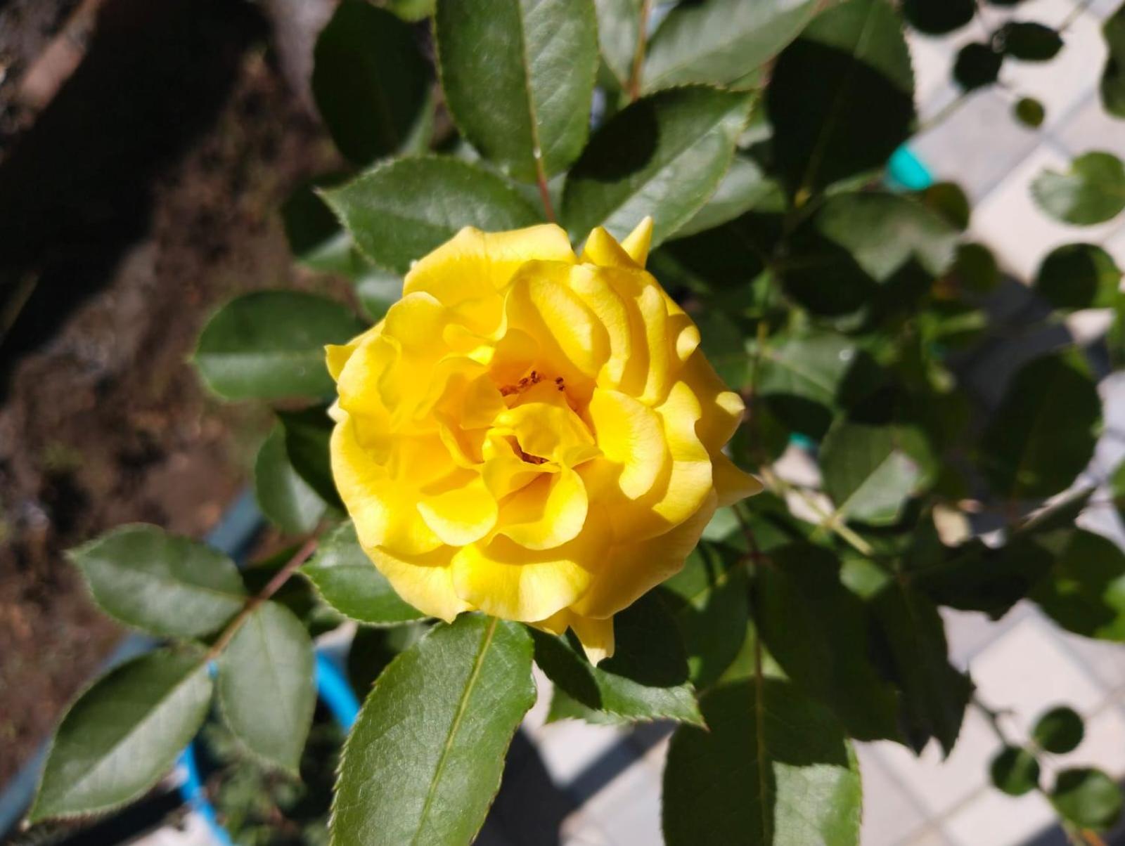 Photo 33