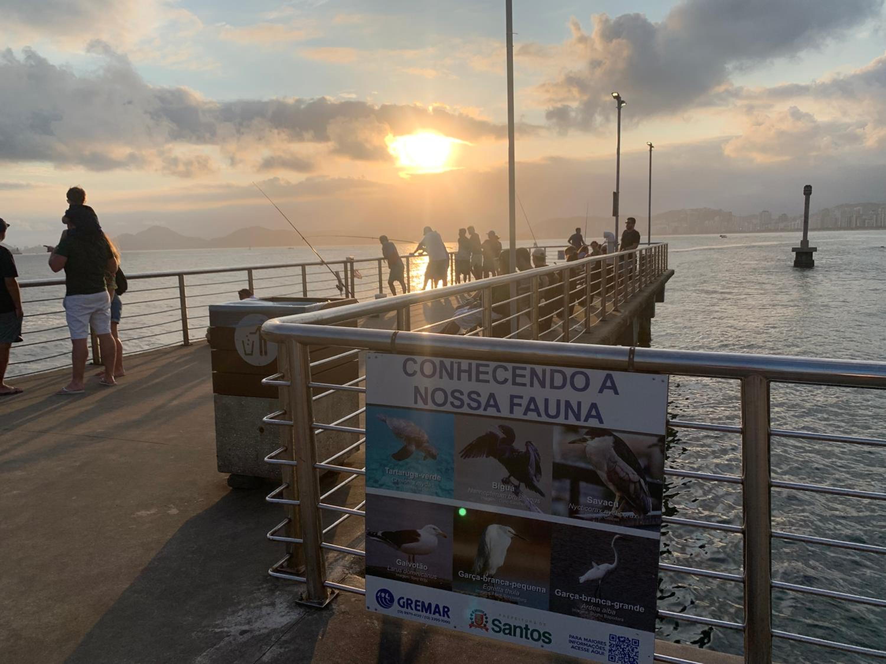Apartamento em Santos na Ponta da Praia