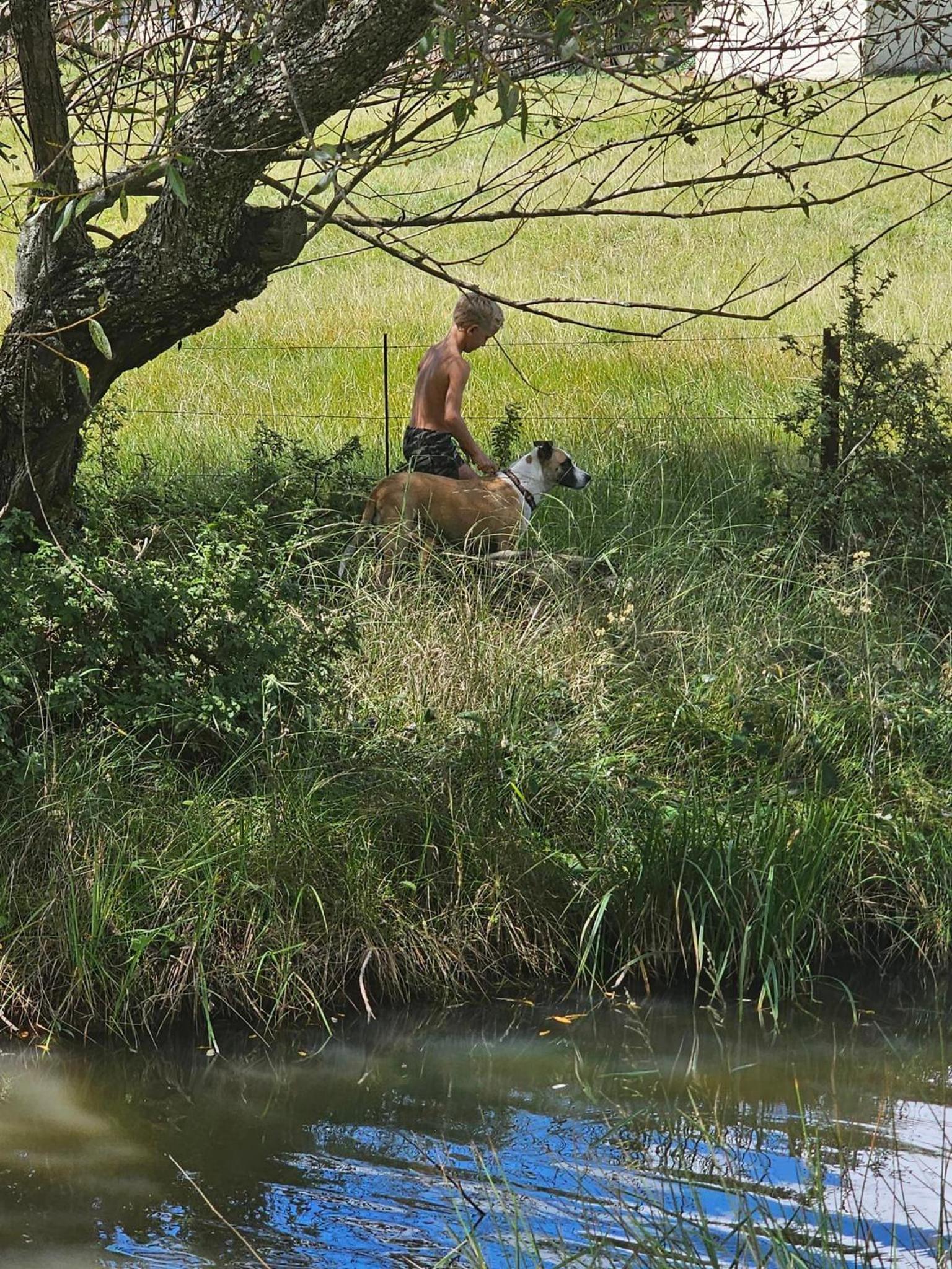 Photo 34