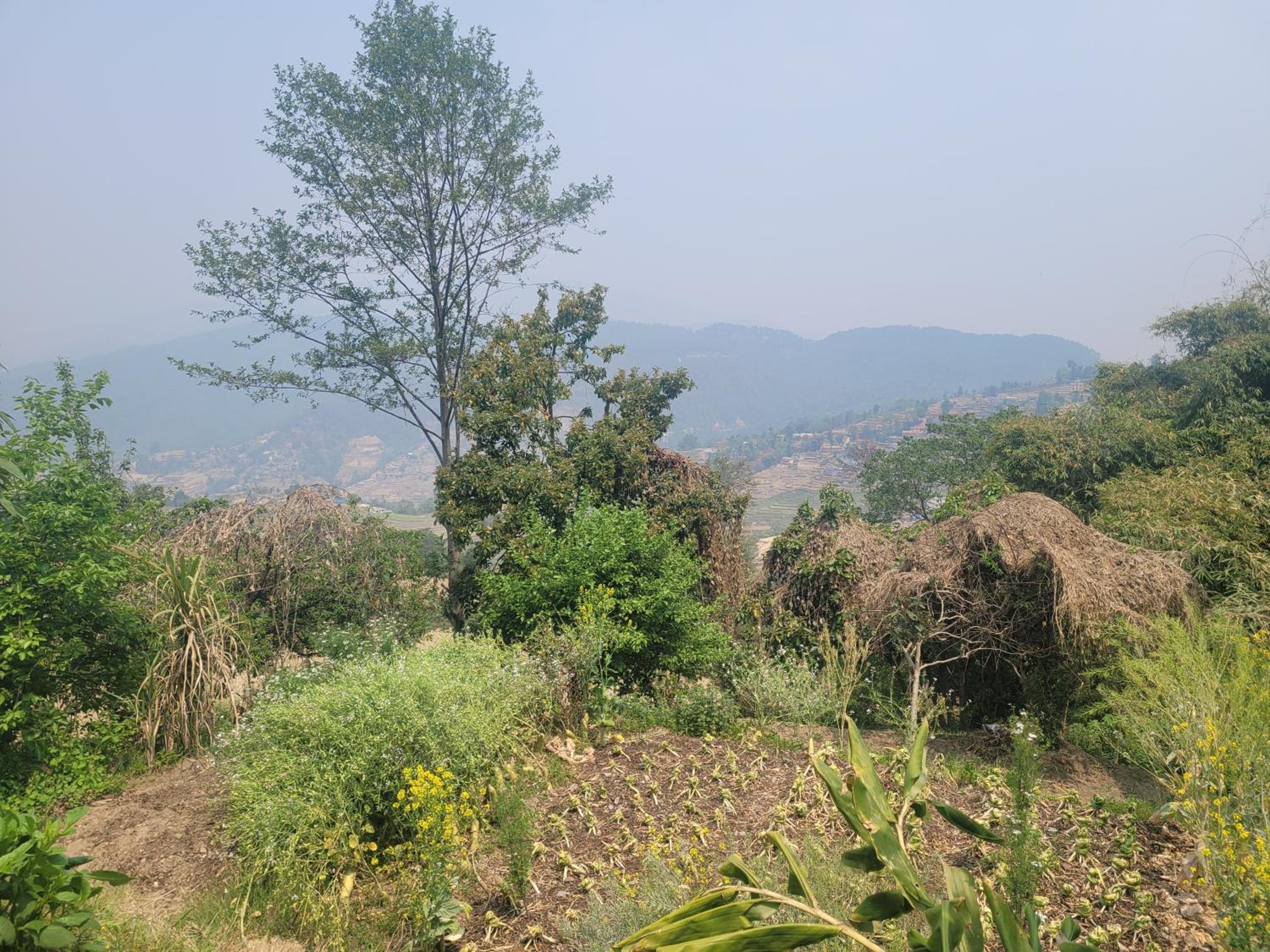 Sisters homestay