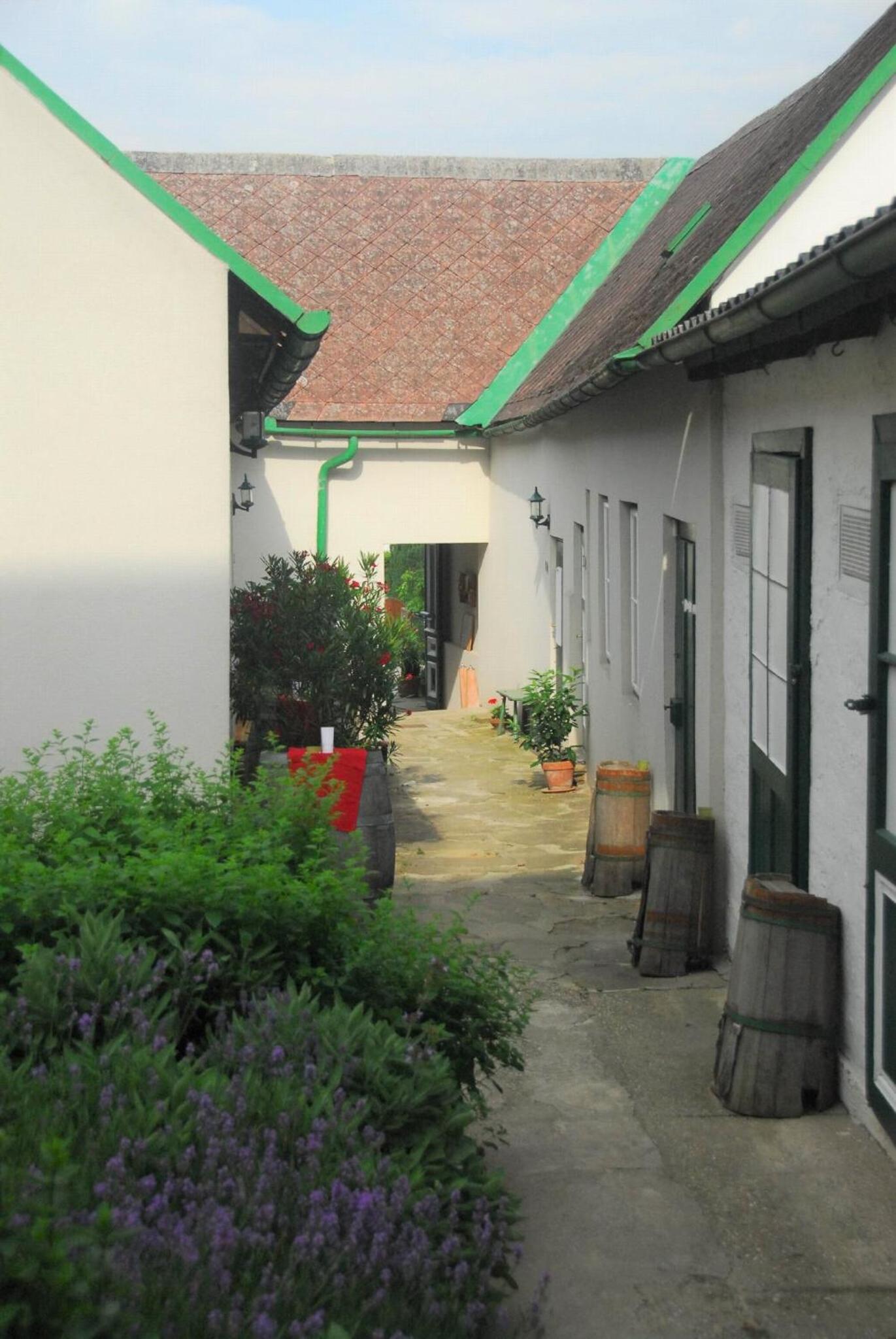 Bioweingut Hauerhof 99 -apartment 1