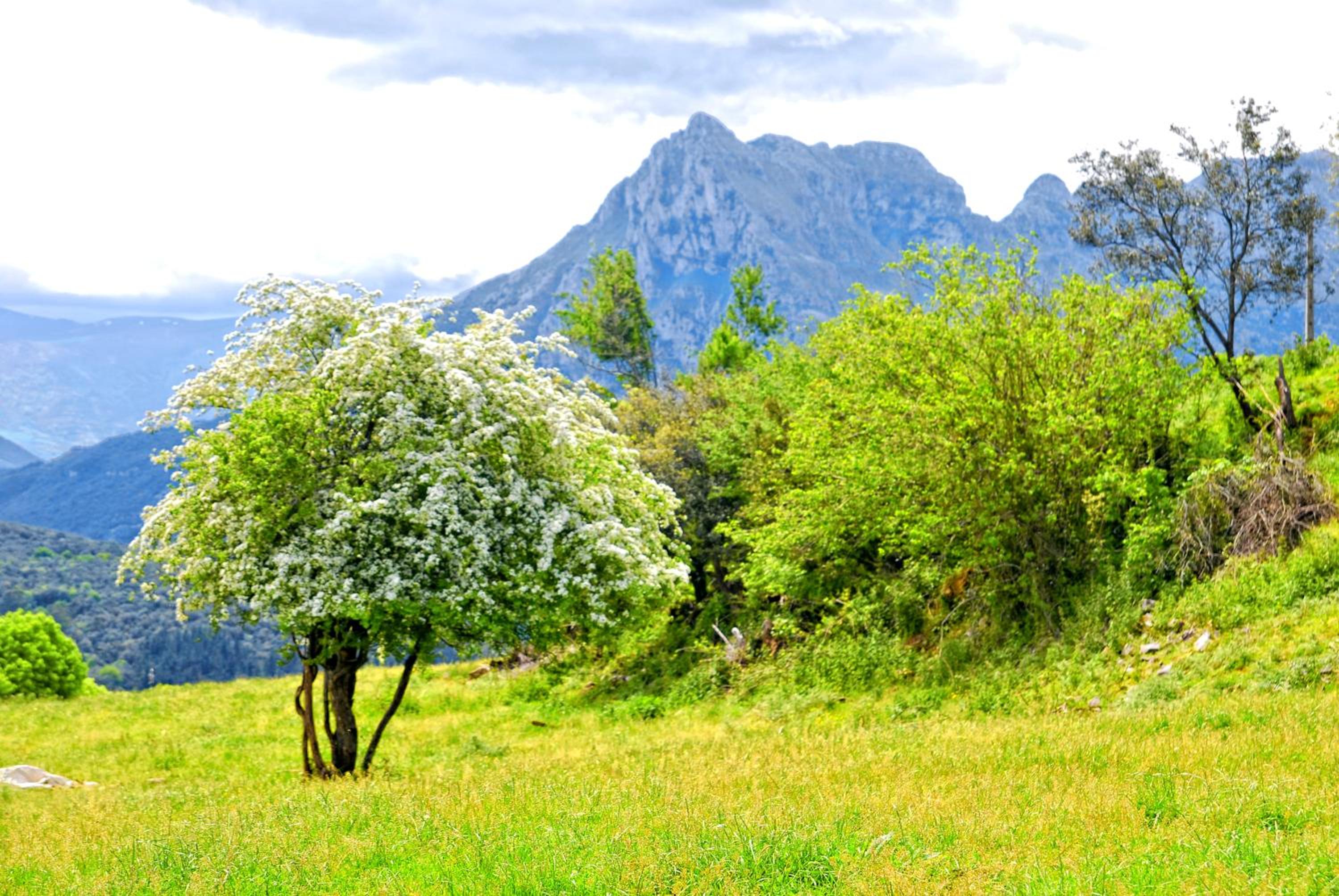 Finca Artienza