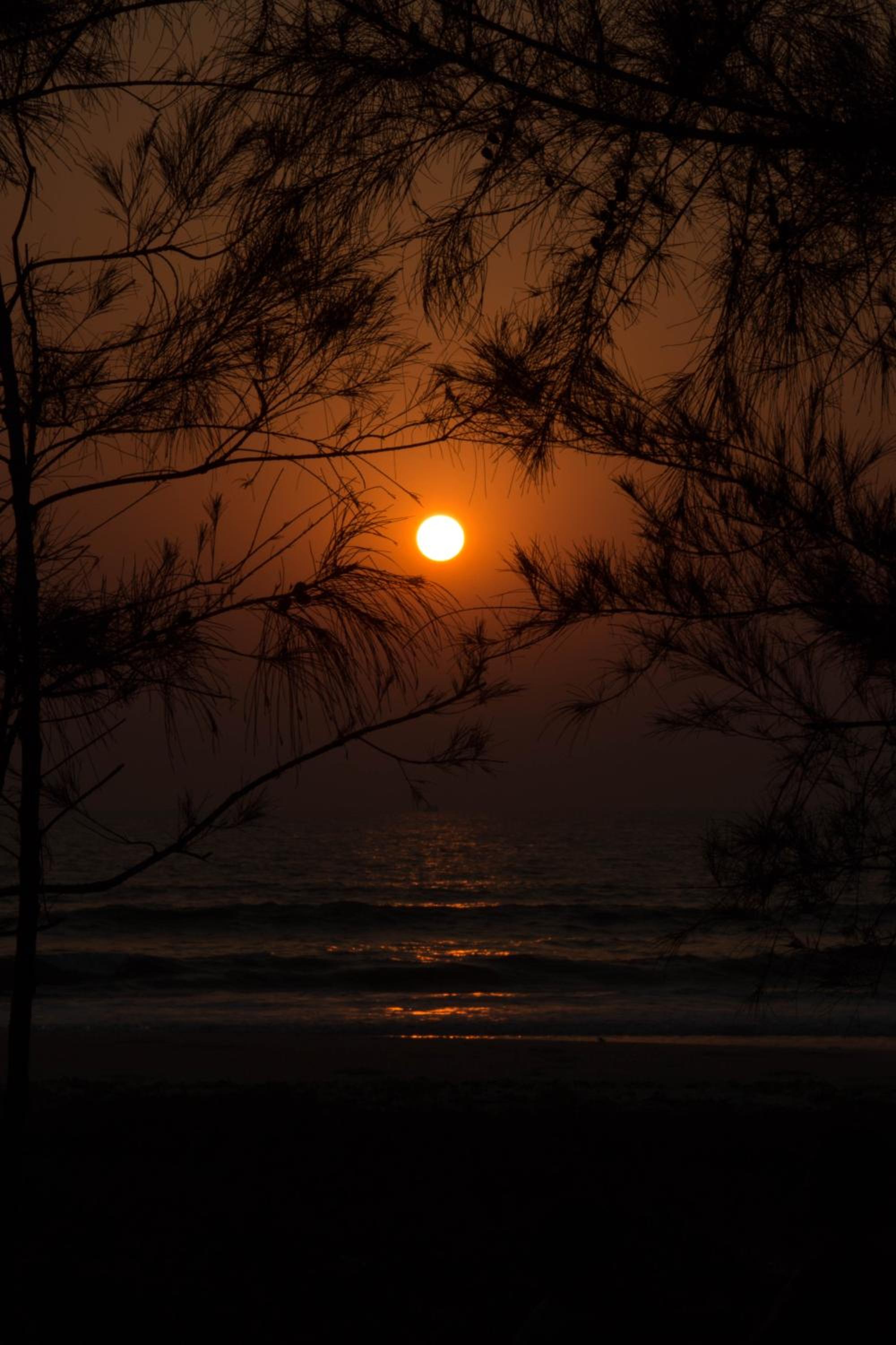 Mangalore Waterfront VIlla view 3