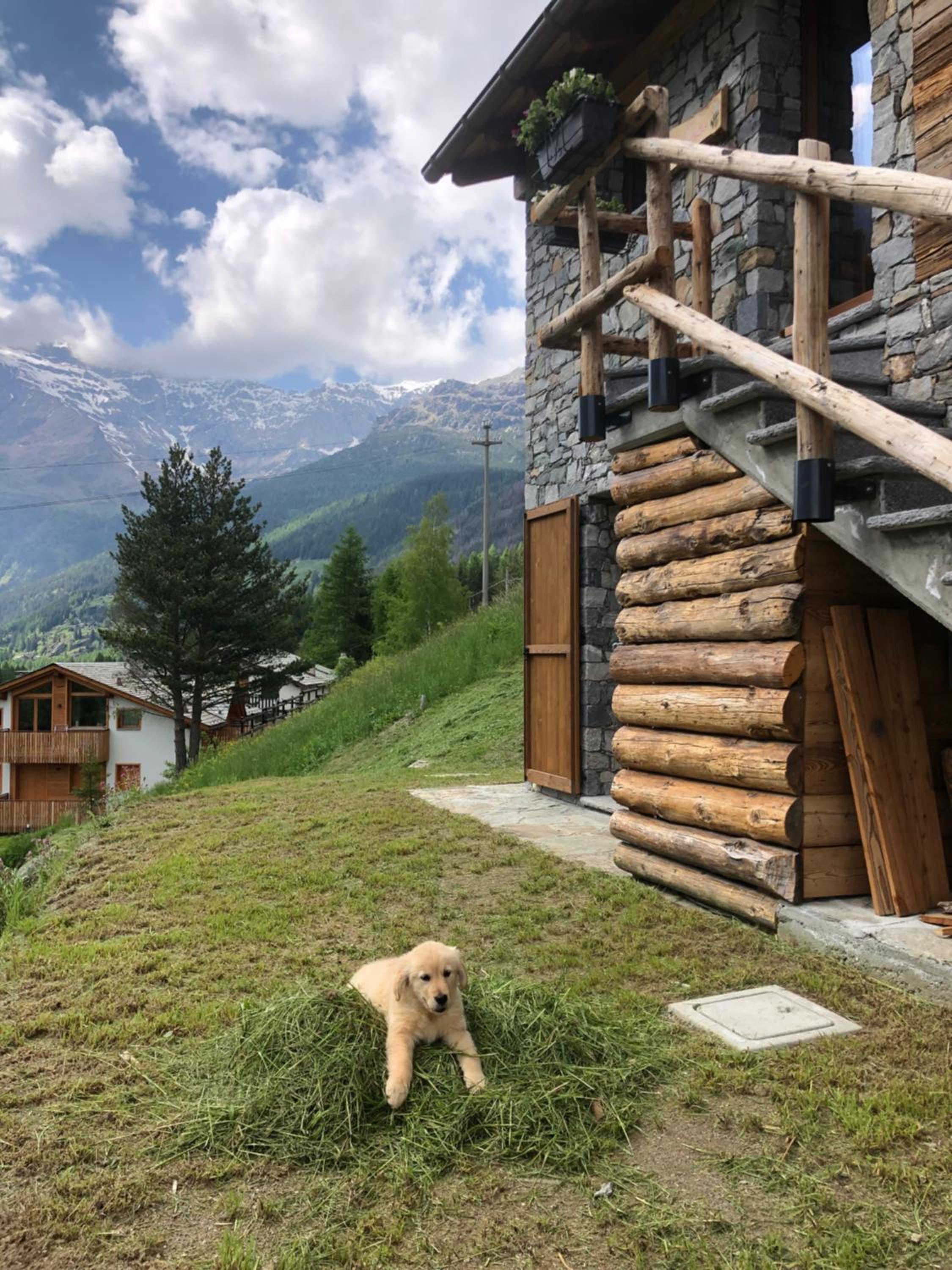 Baita Chalet La Masun beautiful view view 5