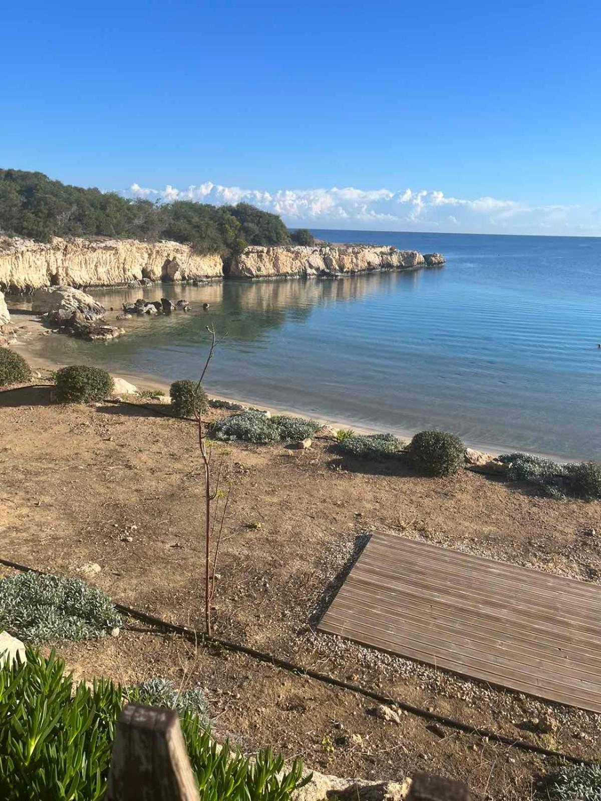 POSEIDONIA BEACH GARDENS