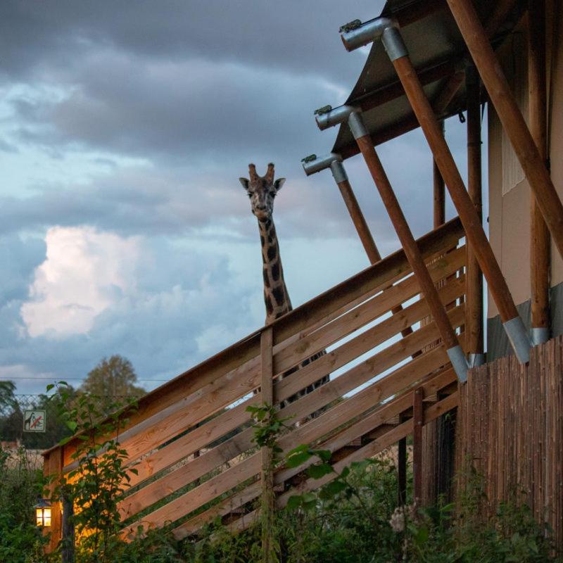 Knuthenborg Safaripark