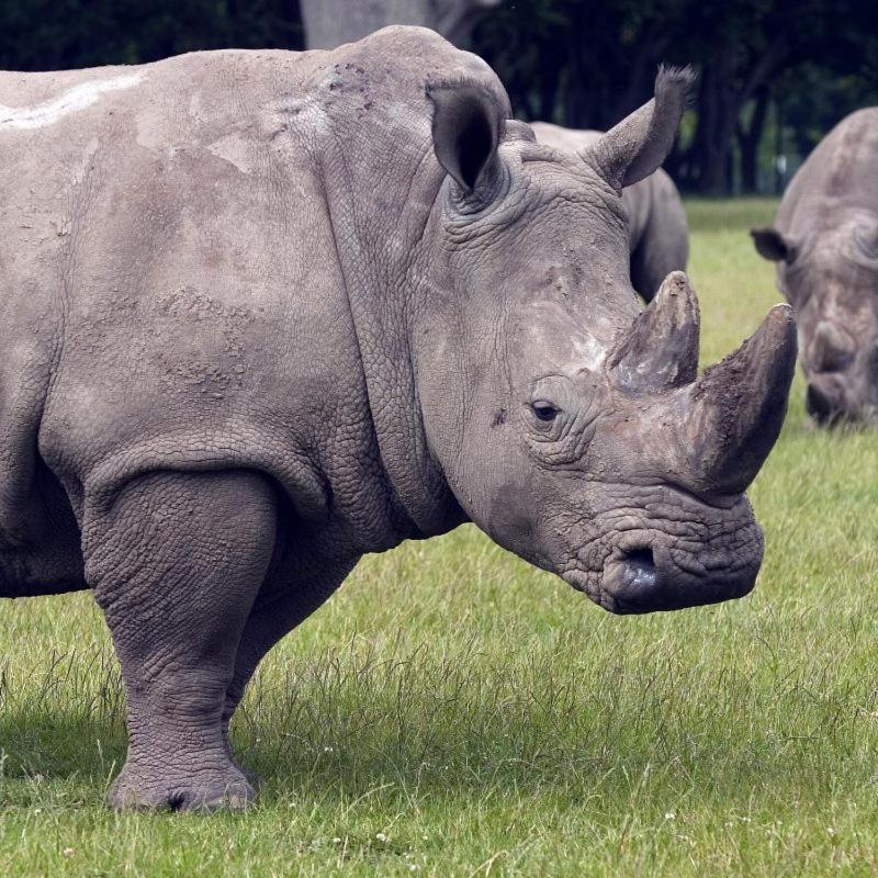 Knuthenborg Safaripark