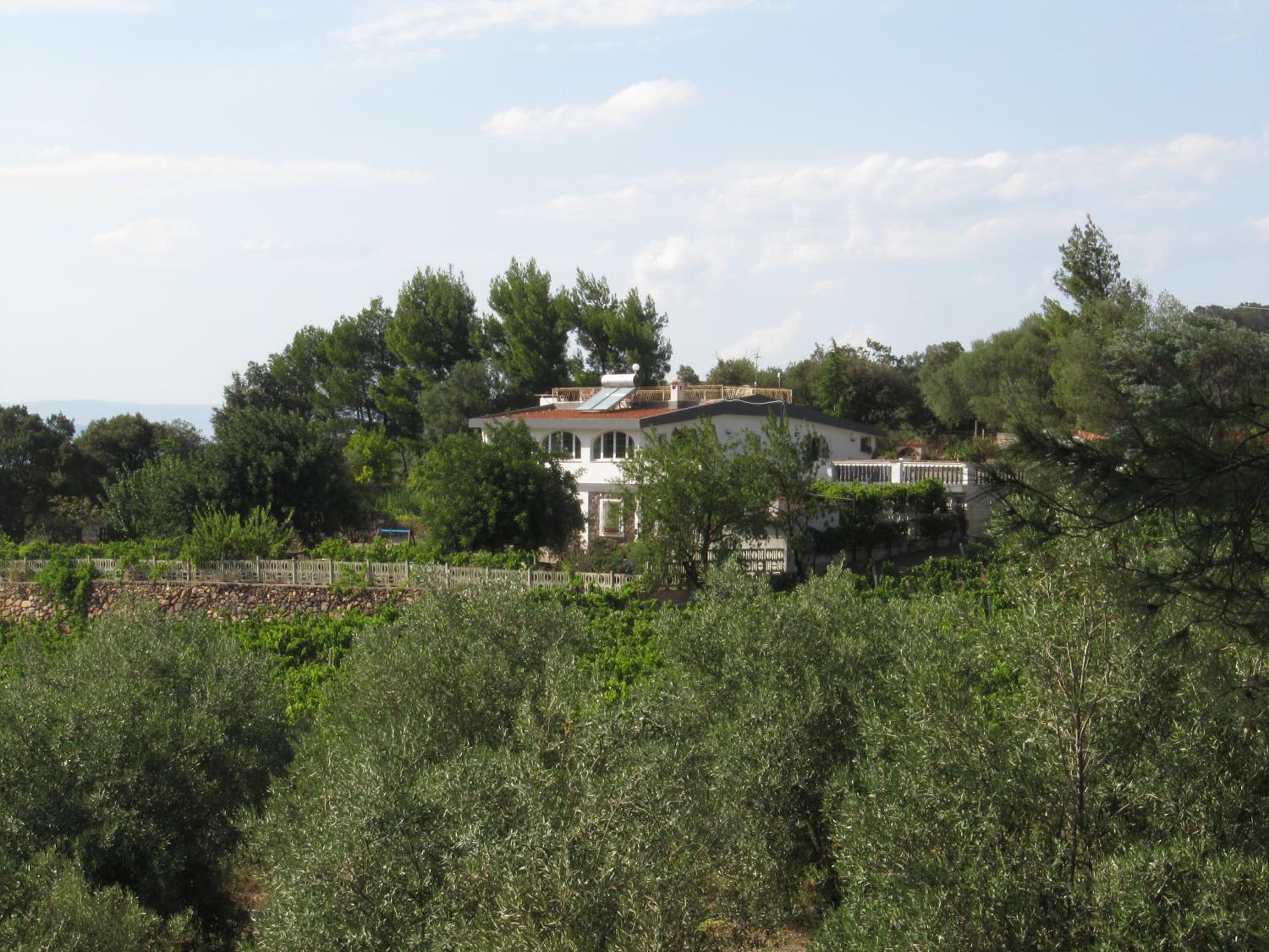 Photo 18