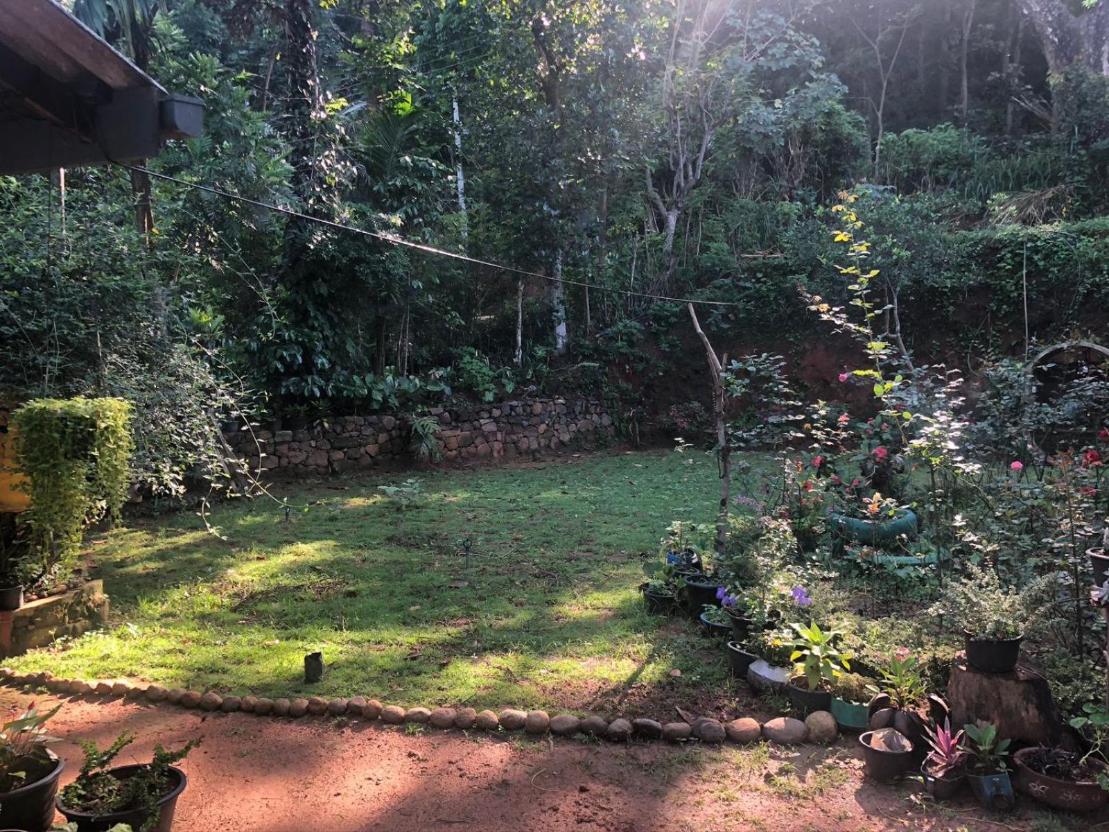 Ithin Kithul Villa view 2