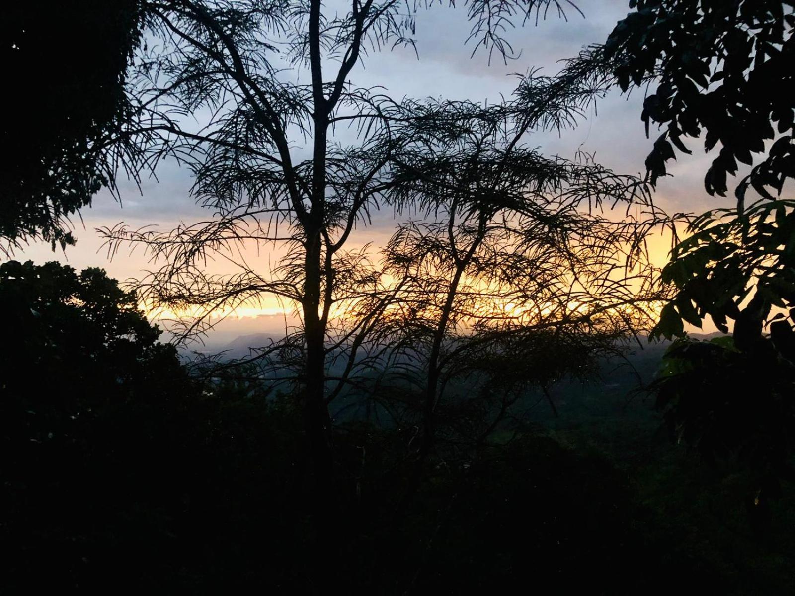 Ithin Kithul Villa view 3