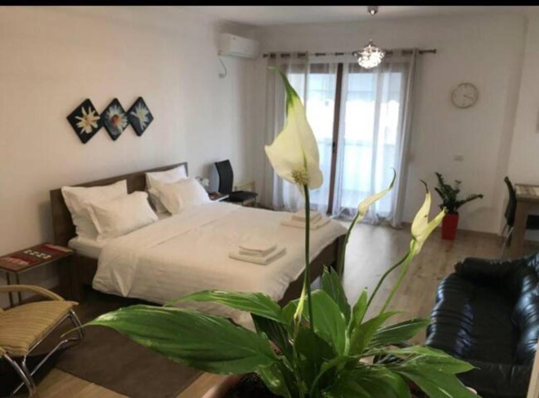 Studio apartment 4 - PAZARIiRI