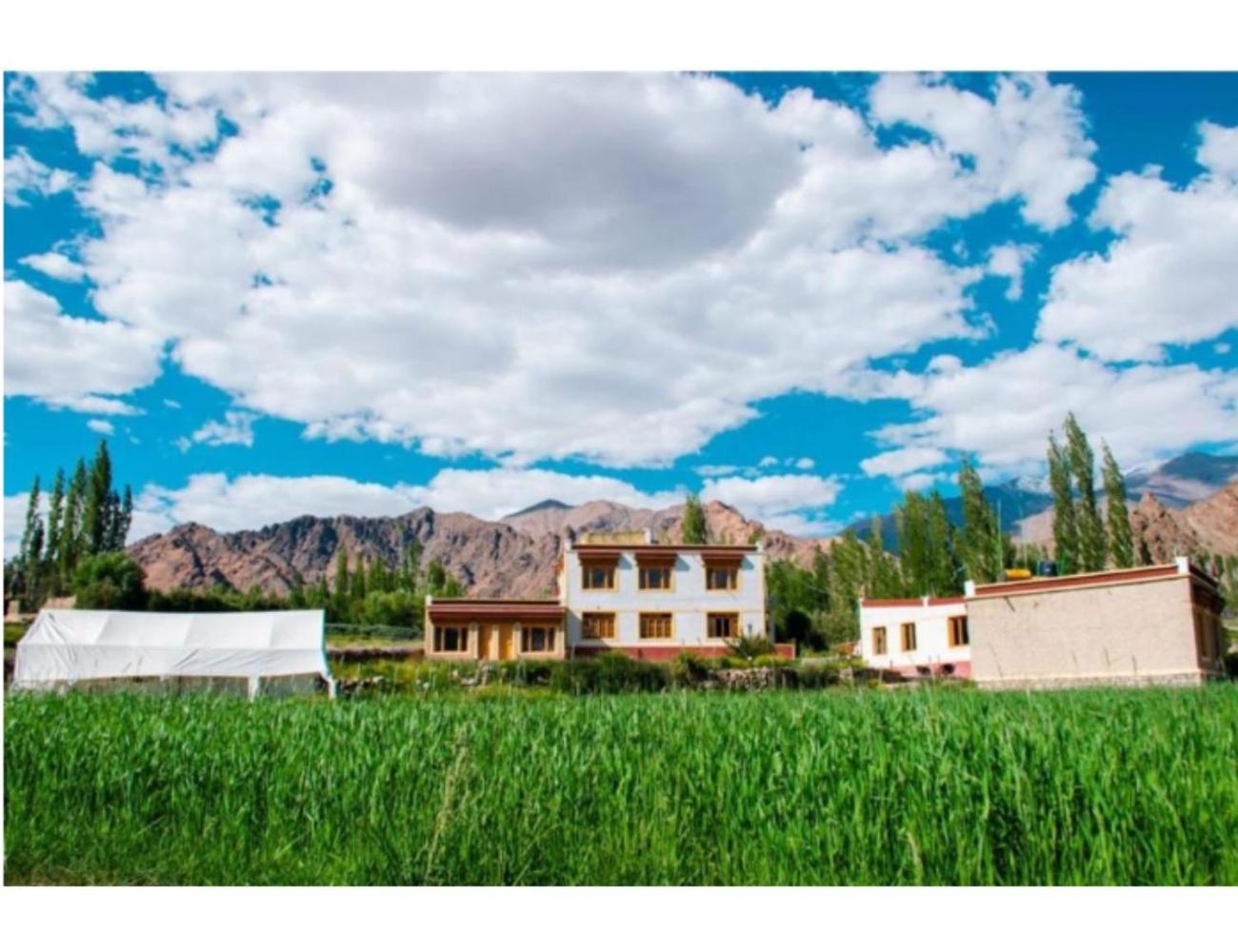 Kartok resort, Leh view 5