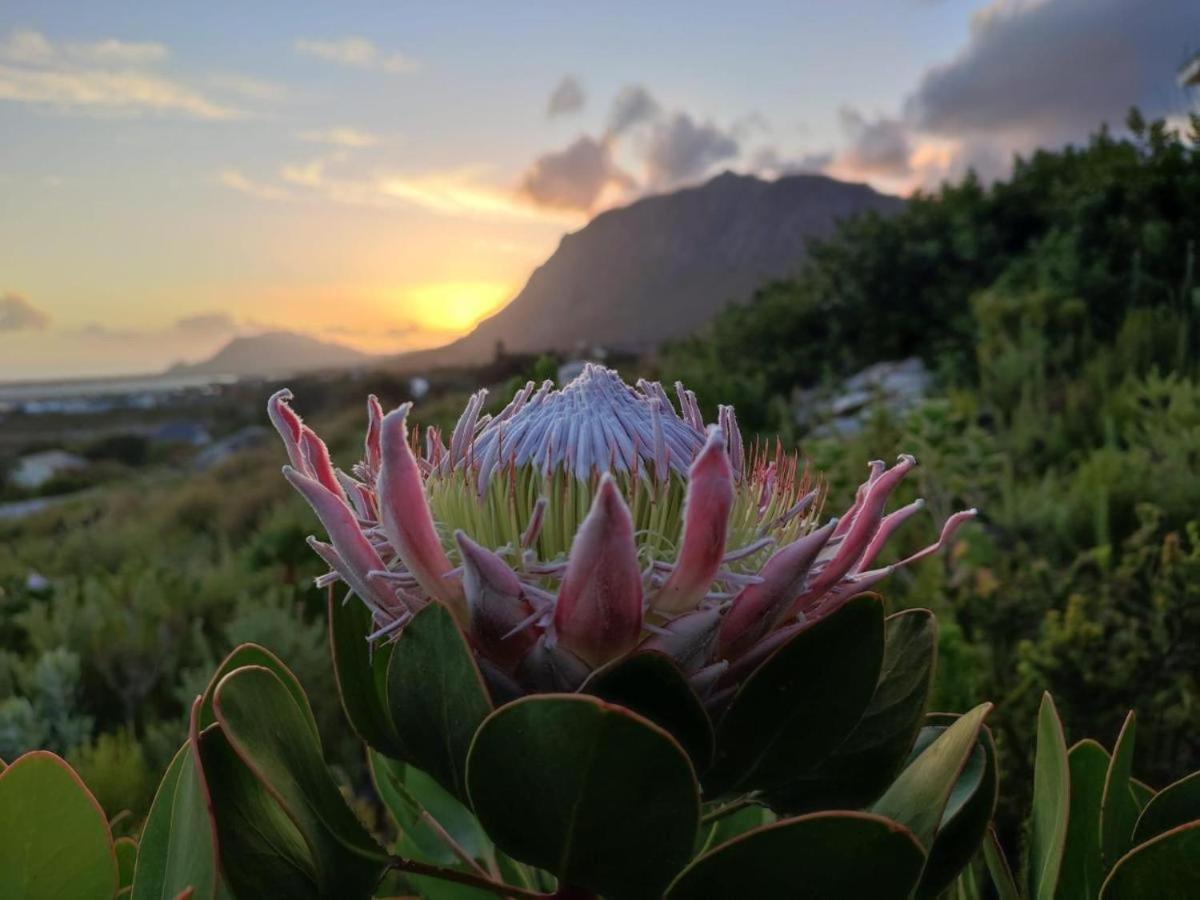 Mooi view 4