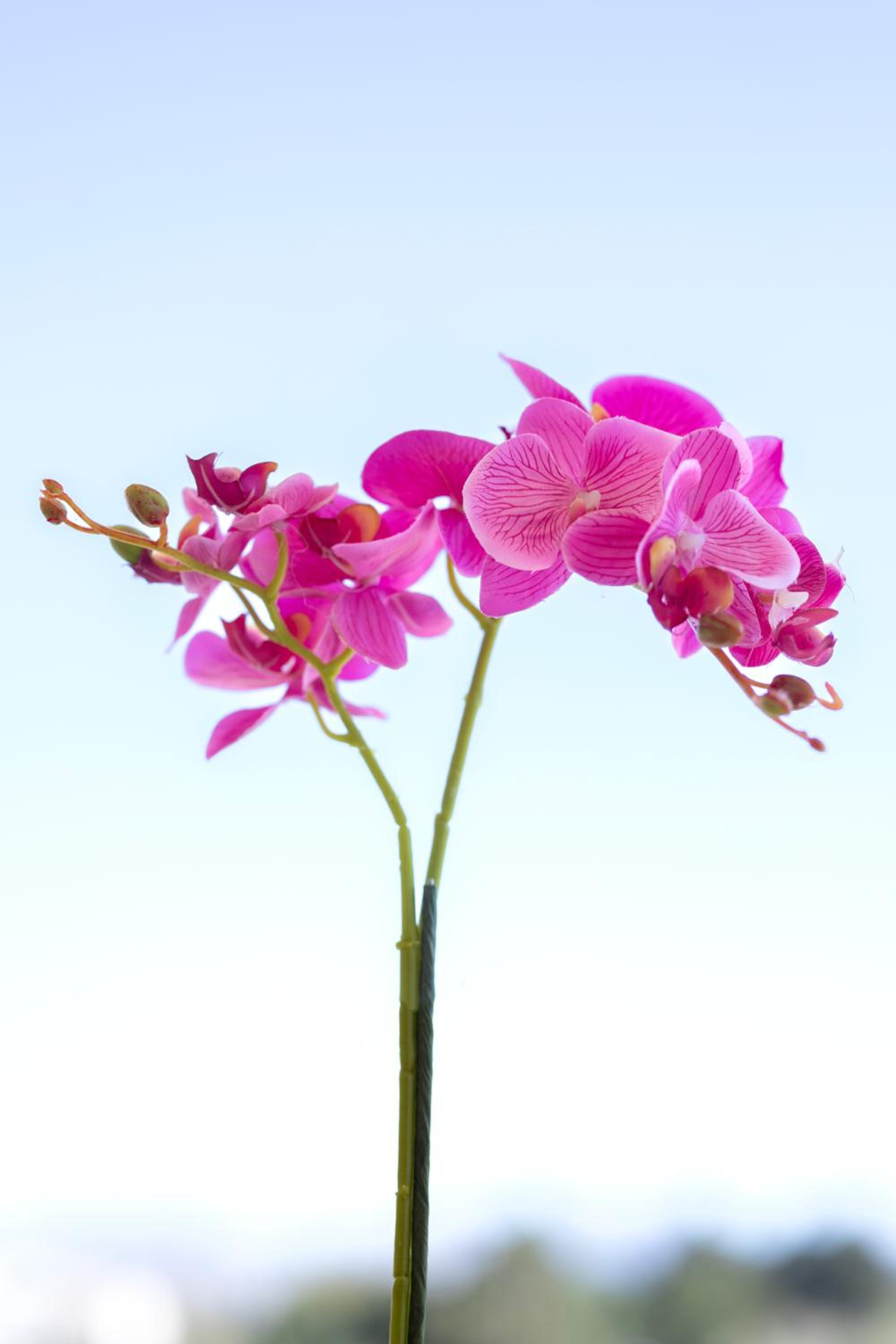 Etheria Comfort House photo 5