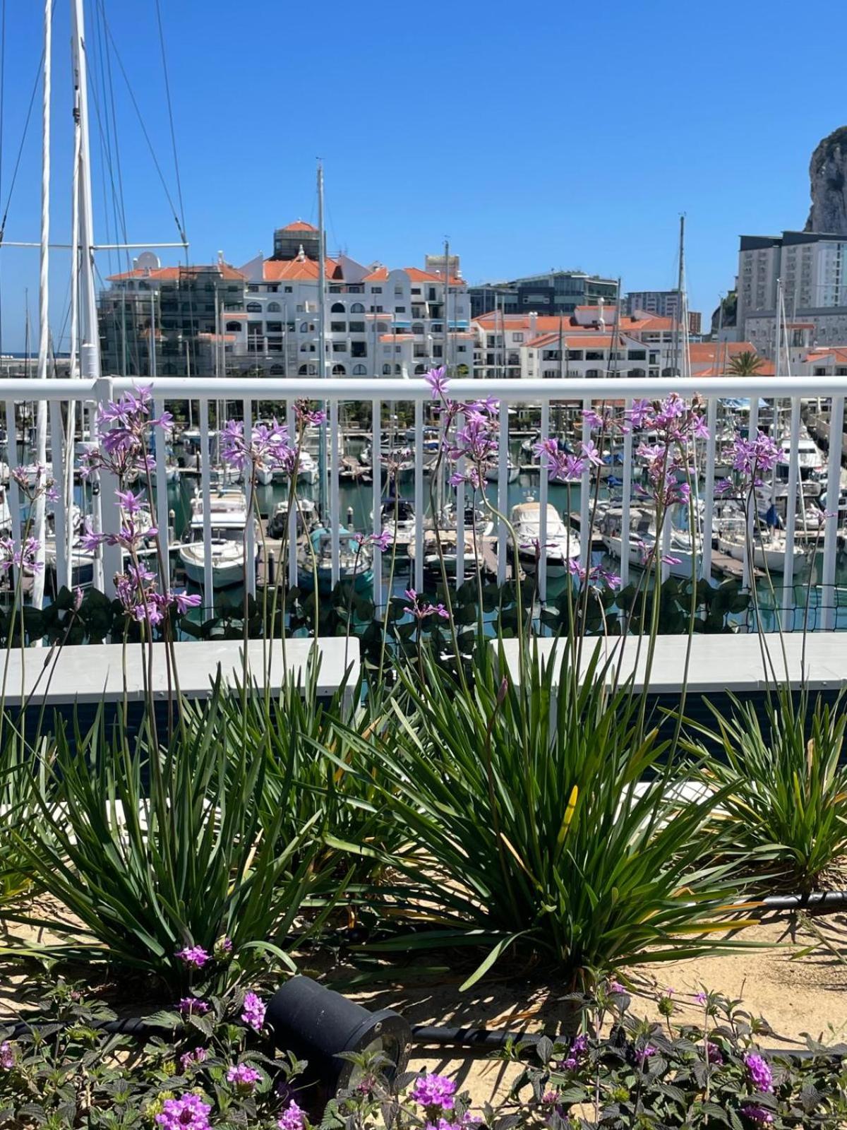 Marina Club Luxury private studio with Pool and incredible views view 5