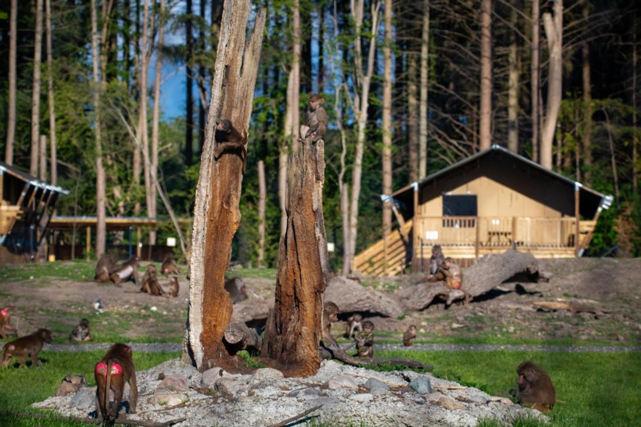 Knuthenborg Safaripark