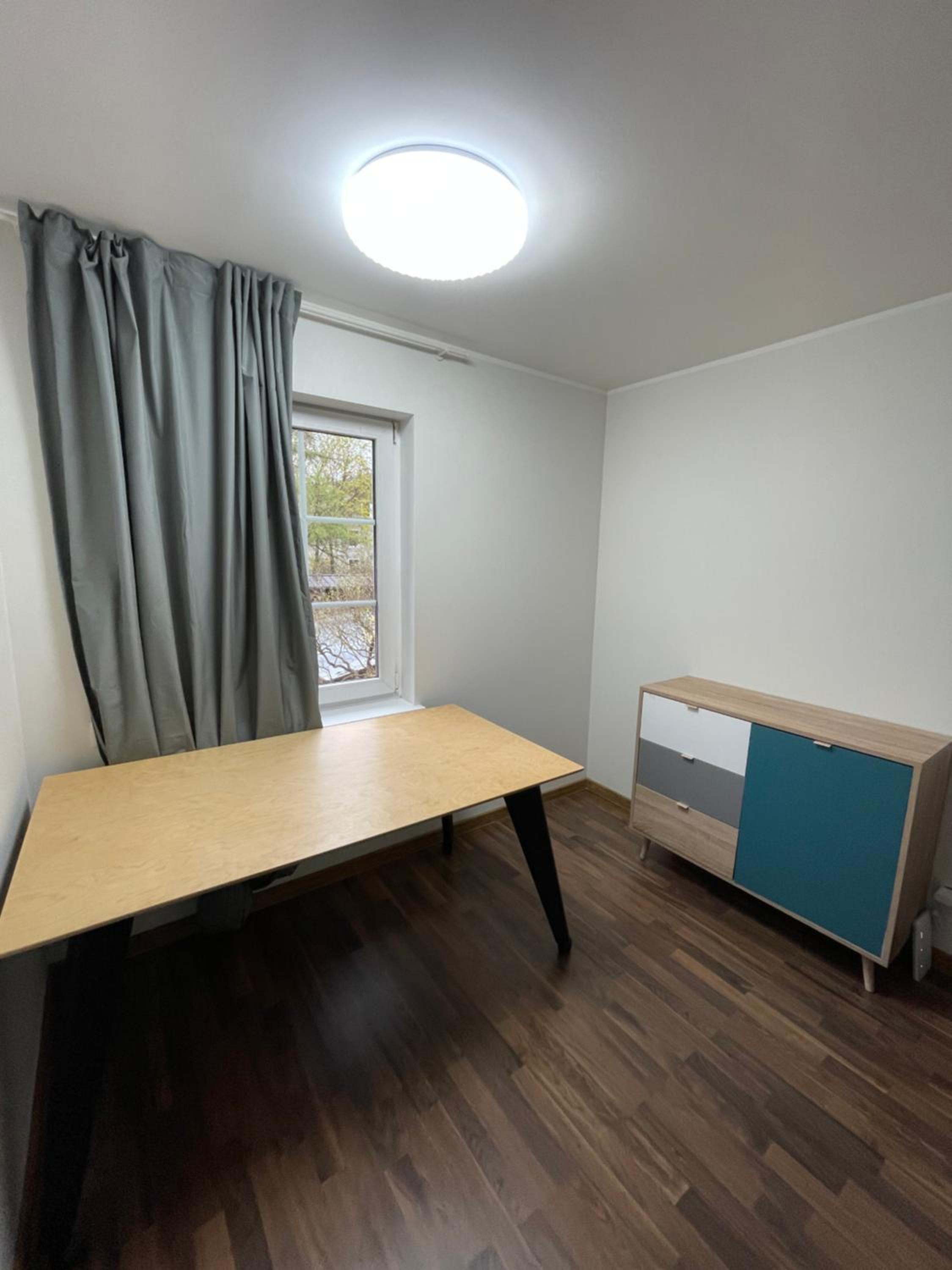 Cozy Studio on Veerenni St, garden views. view 3
