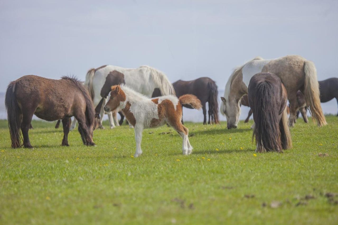 Knuthenborg Safaripark