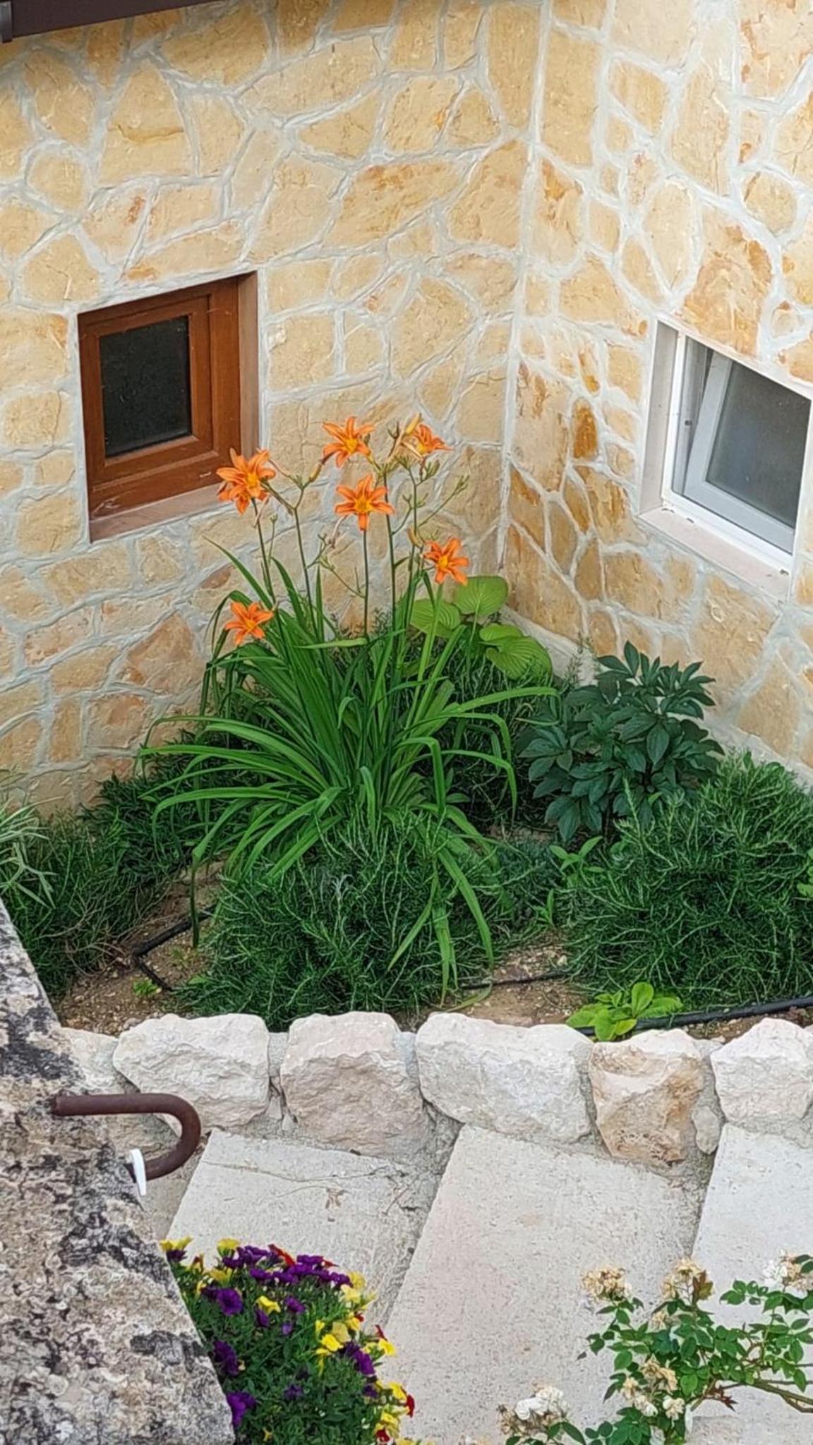 Apartman Mustapić