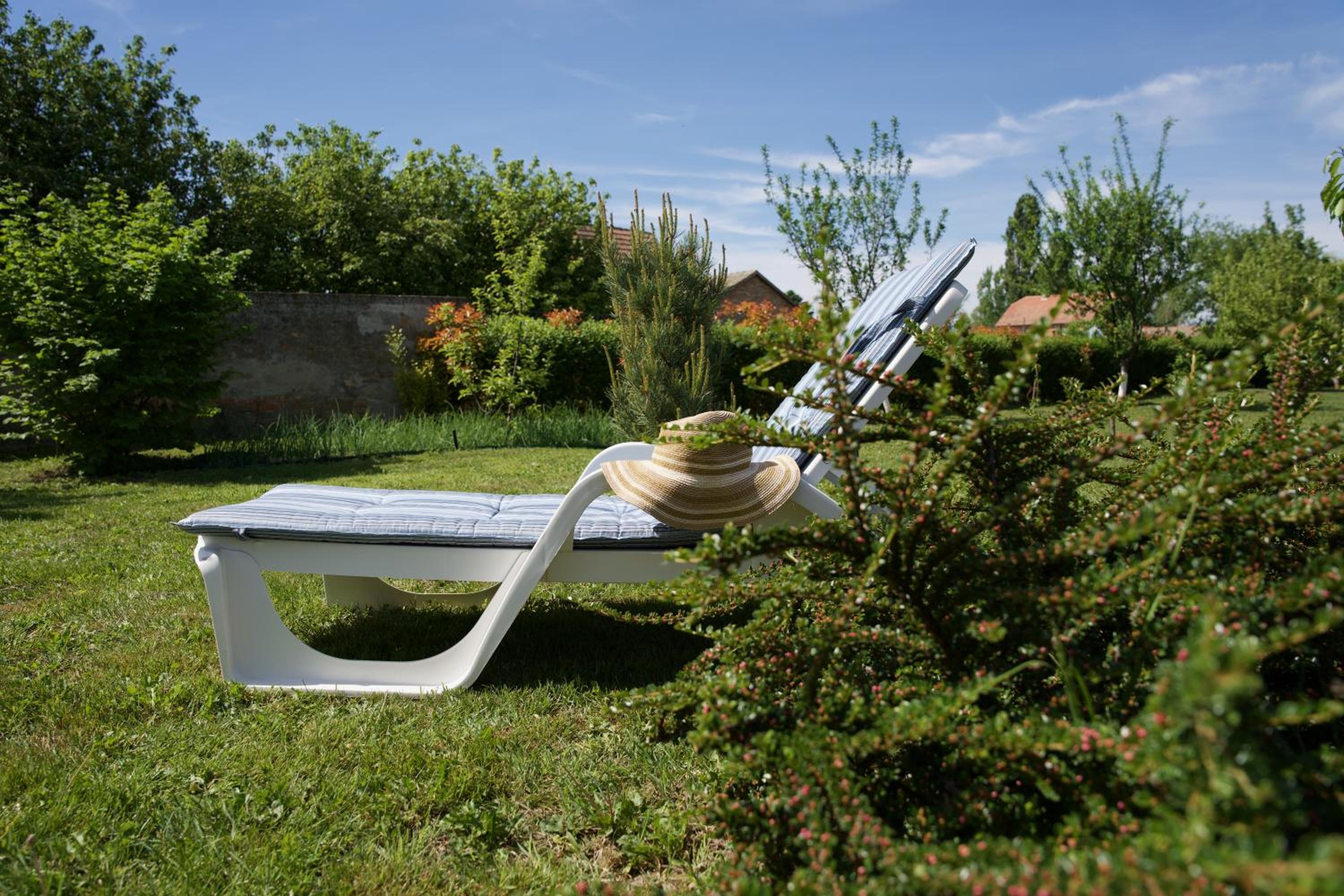 Photo 40