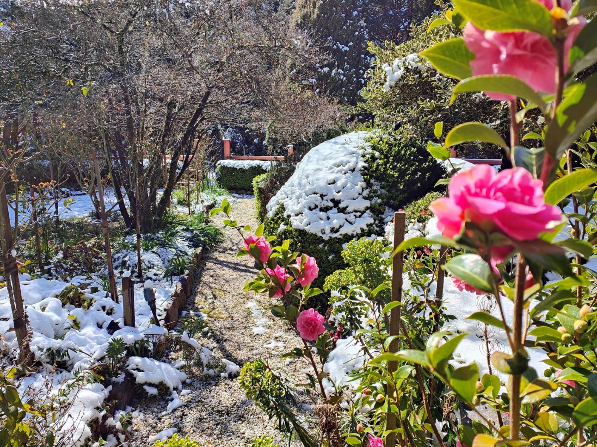 Heritage Log Cabin and Garden w Outdoor Hot Tub