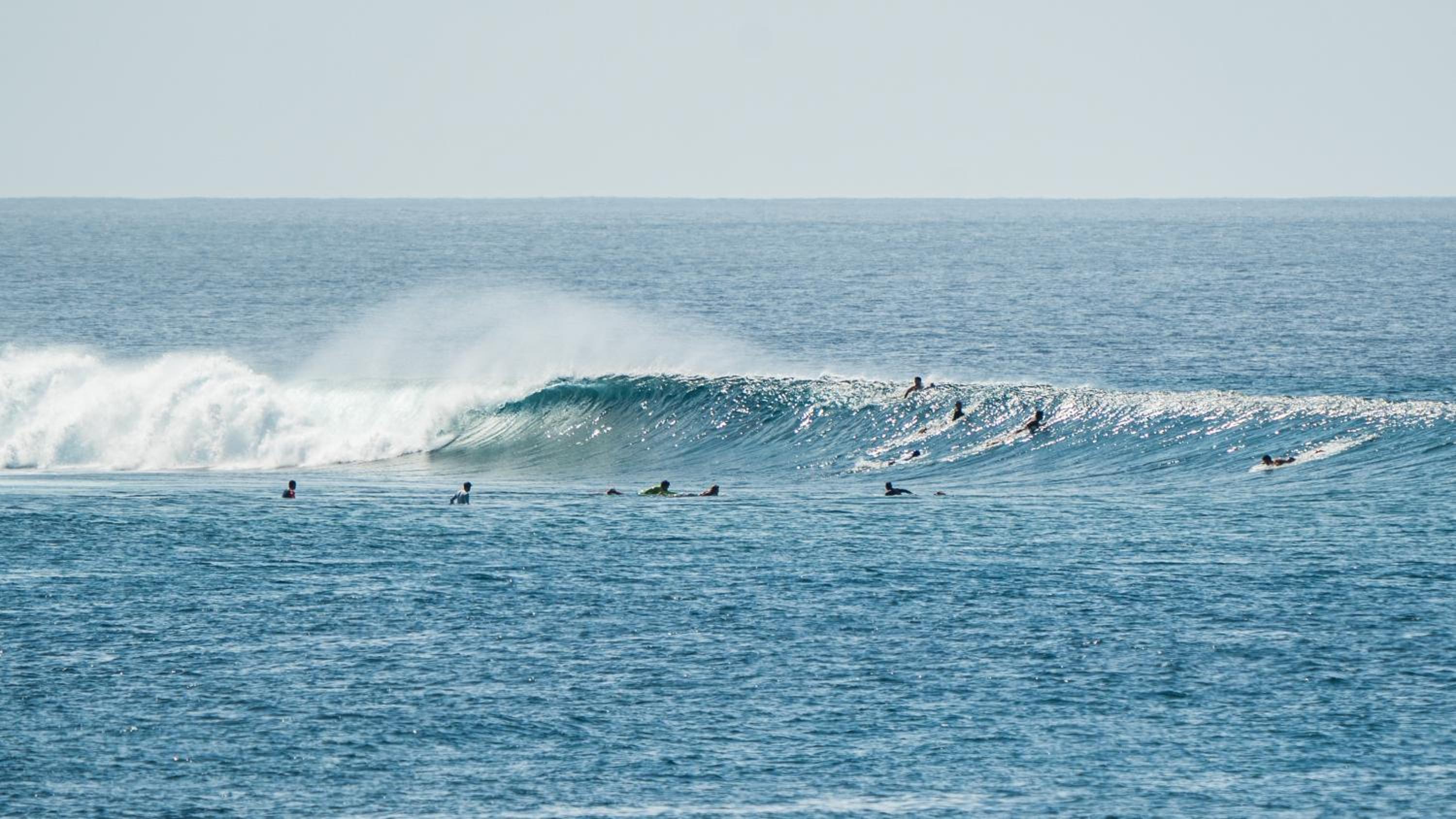 TWIN PALMS 'Surfhouse' view 3