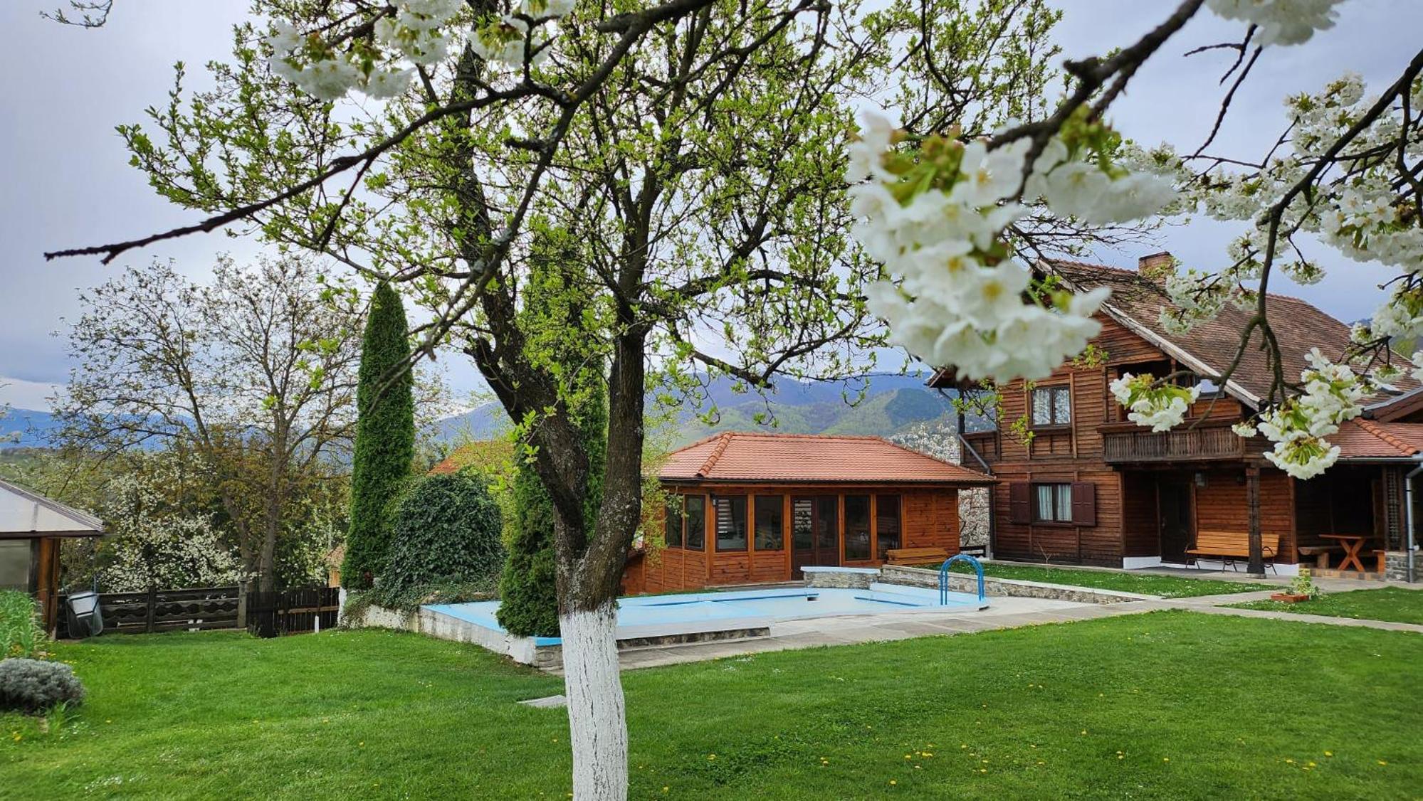 Casa Amalia Tocile -Sadu view 2