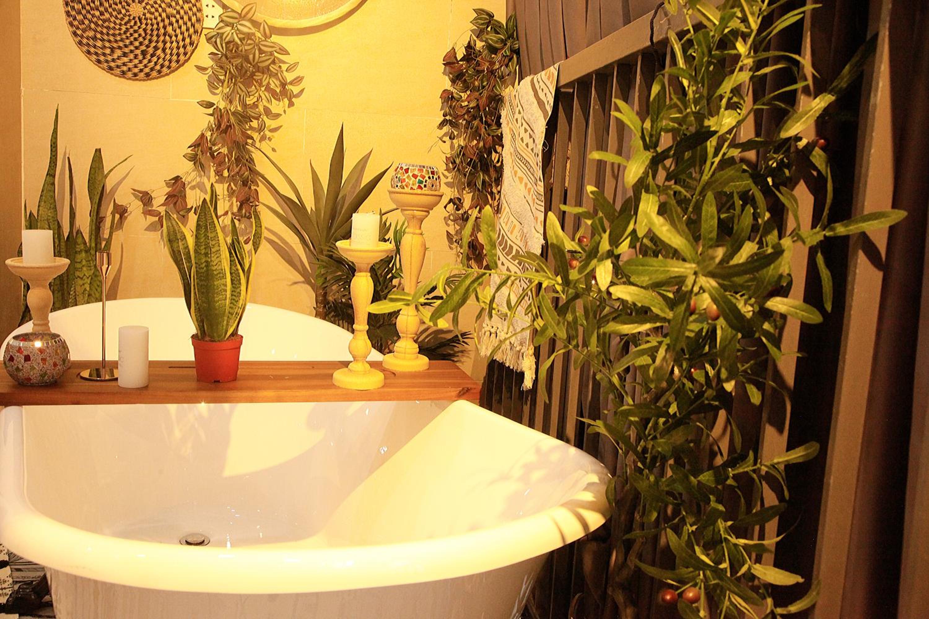 Nestchill Tân Mỹ