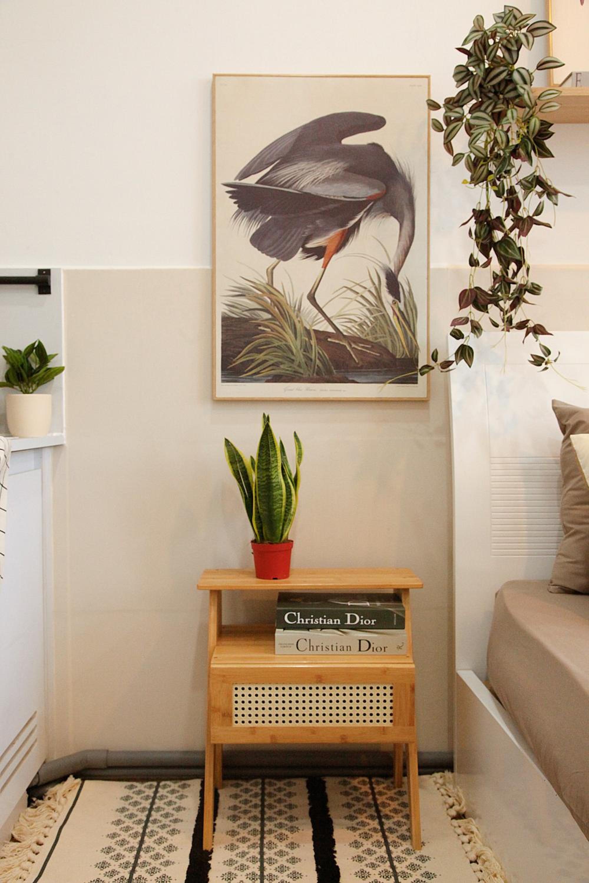 Nestchill Tân Mỹ