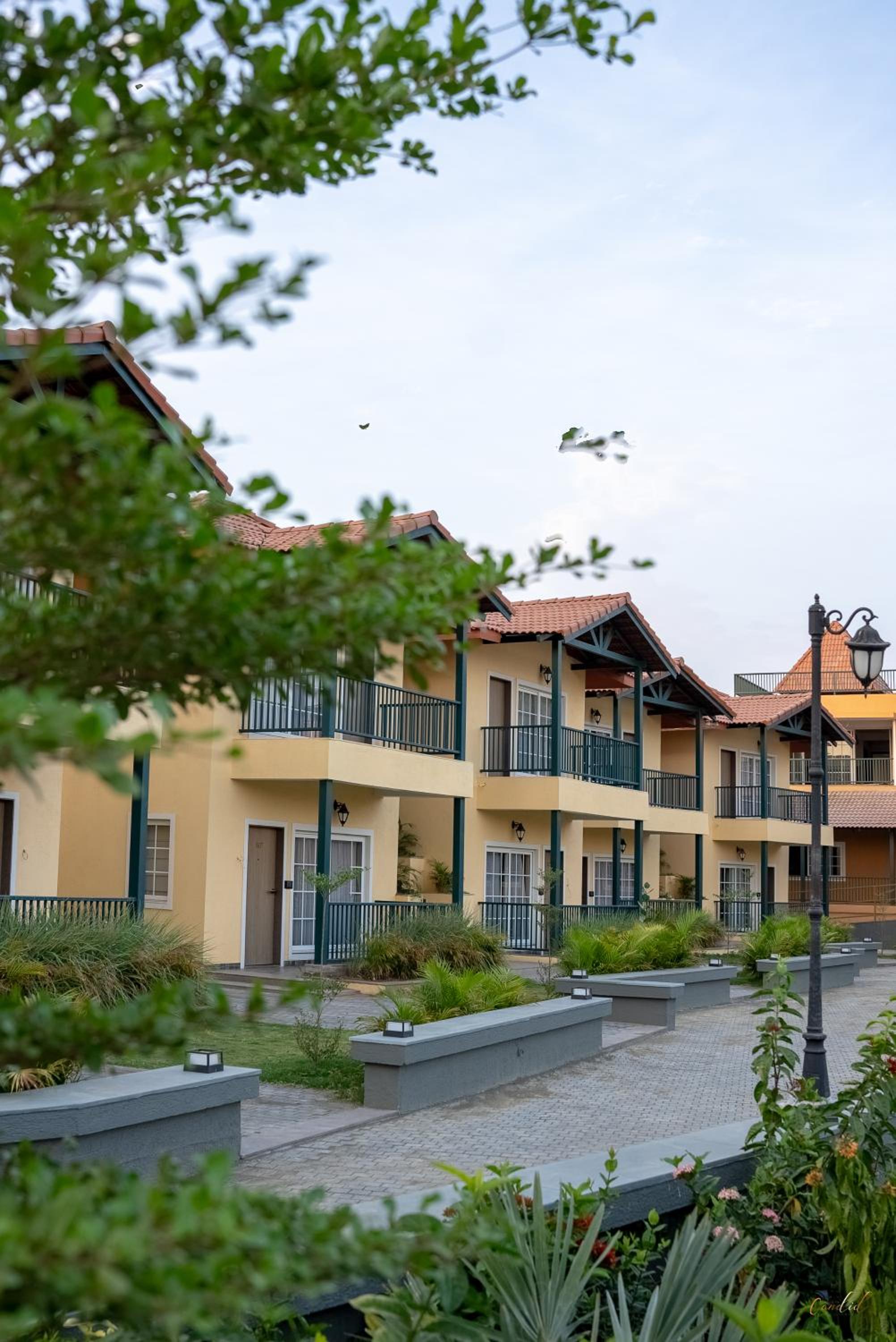 The Fern Wisteria Resort, Dhari view 4
