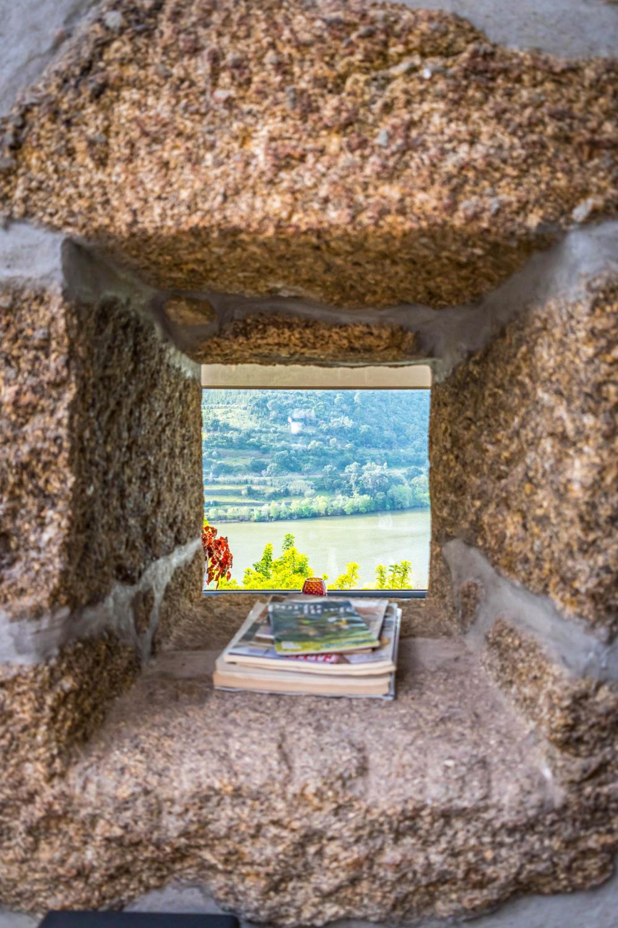 Fraga Douro House, Douro Valley view 3