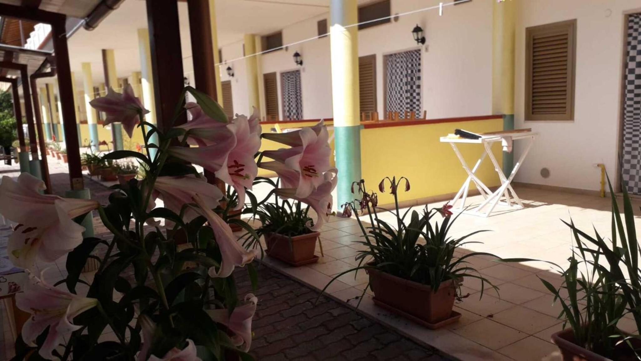 Tavaglione Apartments