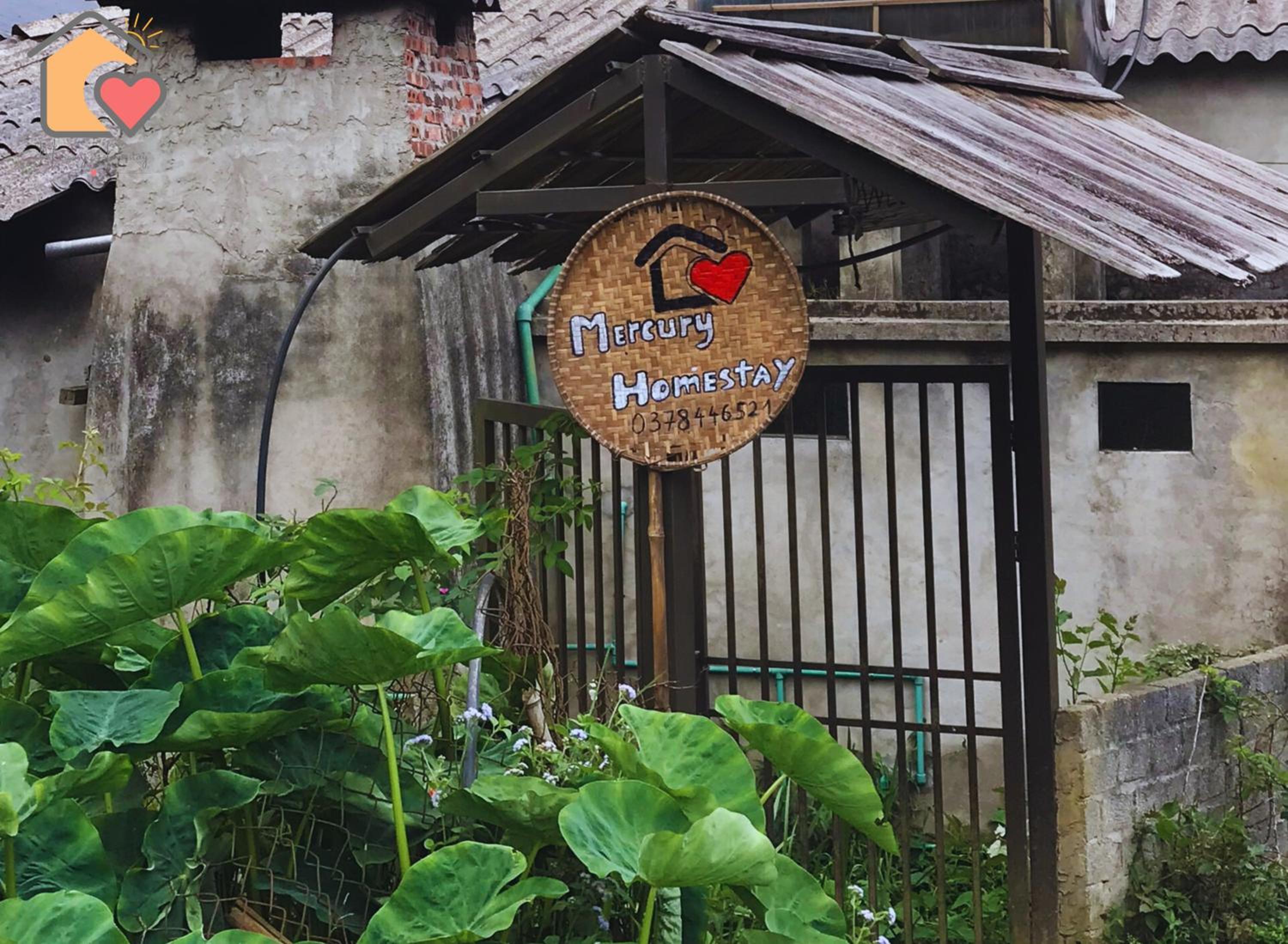 Mercury Homestay