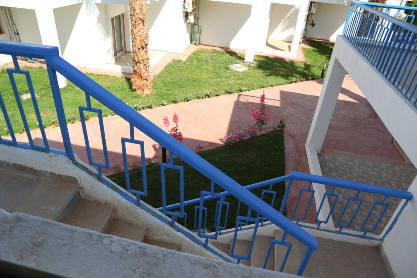Photo 216